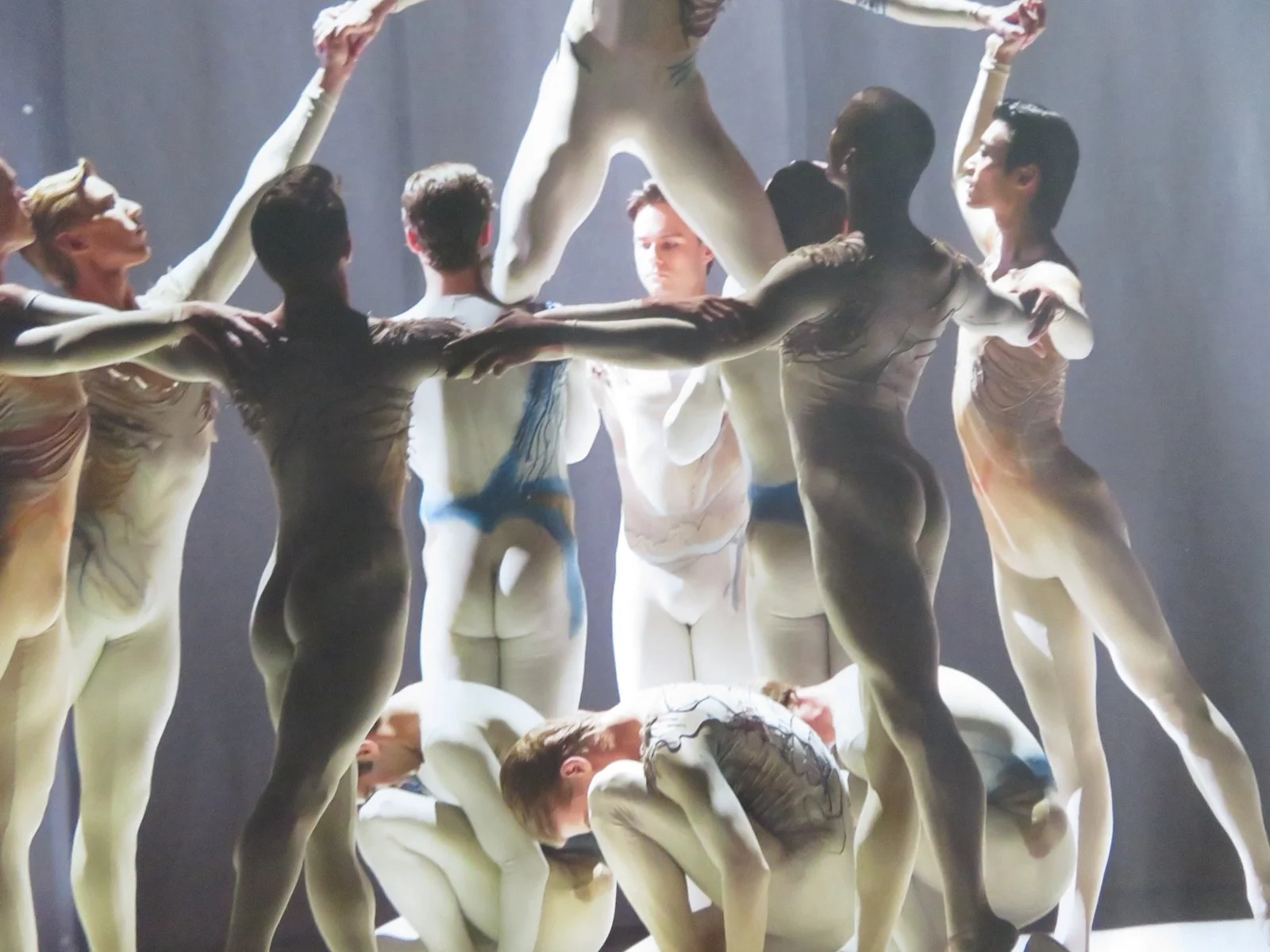 The Royal Ballet: Macmillan Celebrated UK QUAD ROLLED POSTER K. MACMILLAN 2024, изображение 2