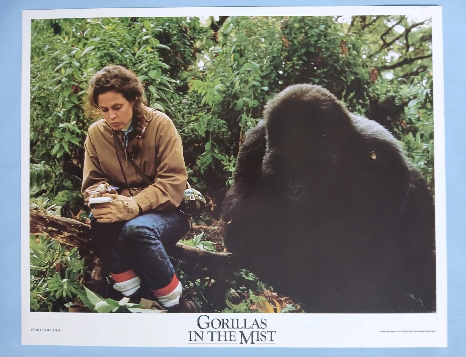 GORILLAS IN THE MIST (1988) set 8 original US 8" x 10" lobby cards - Sig Weaver, изображение 2