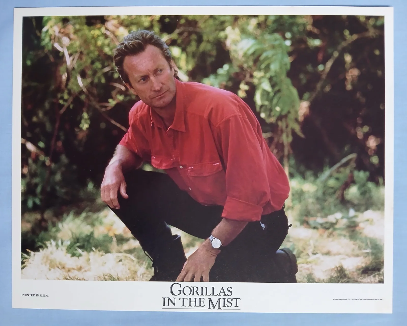 GORILLAS IN THE MIST (1988) set 8 original US 8" x 10" lobby cards - Sig Weaver, изображение 4