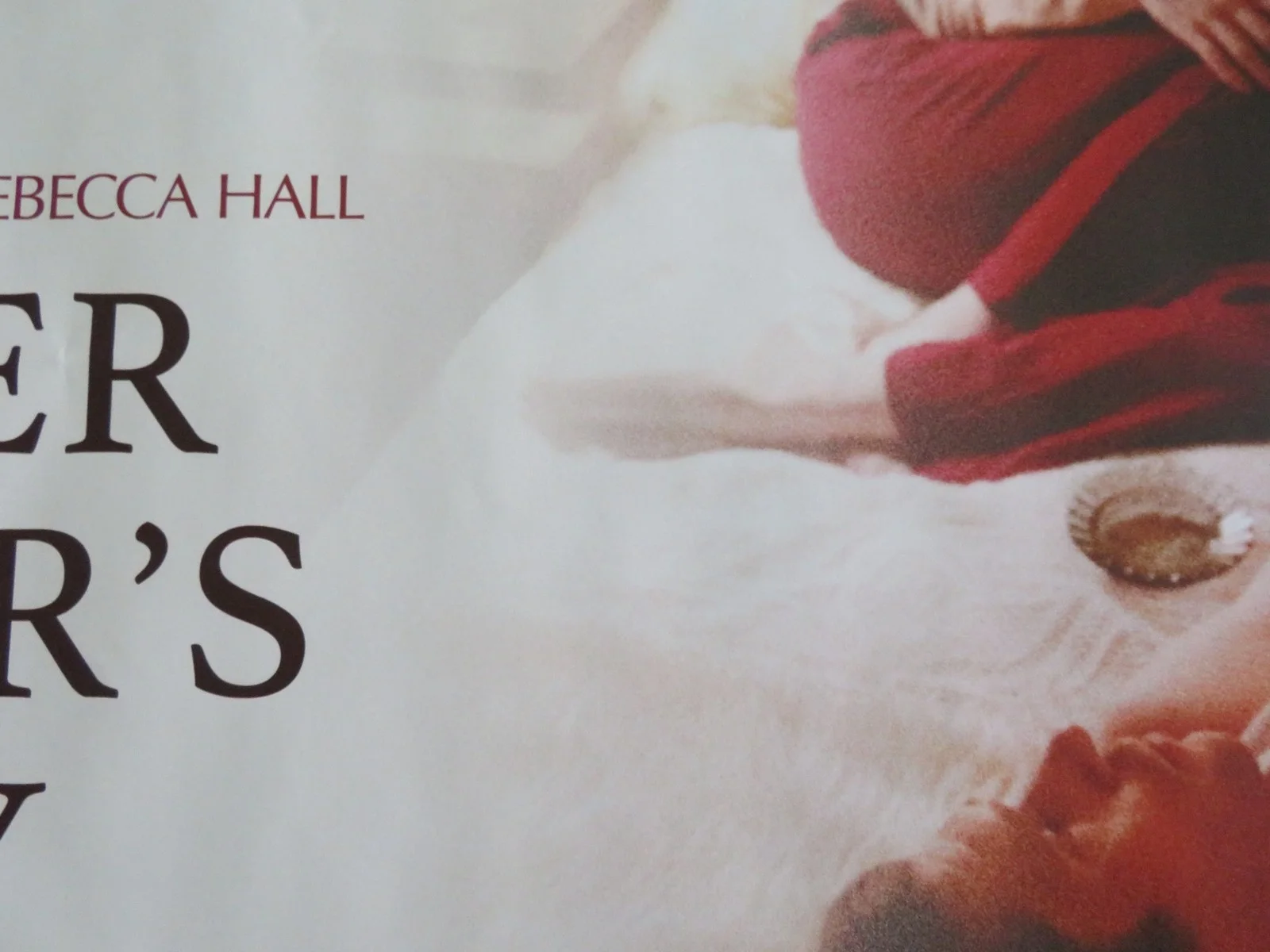 PETER HUJAR'S DAY UK QUAD ROLLED POSTER REBECCA HALL BEN WHISHAW 2025, изображение 2