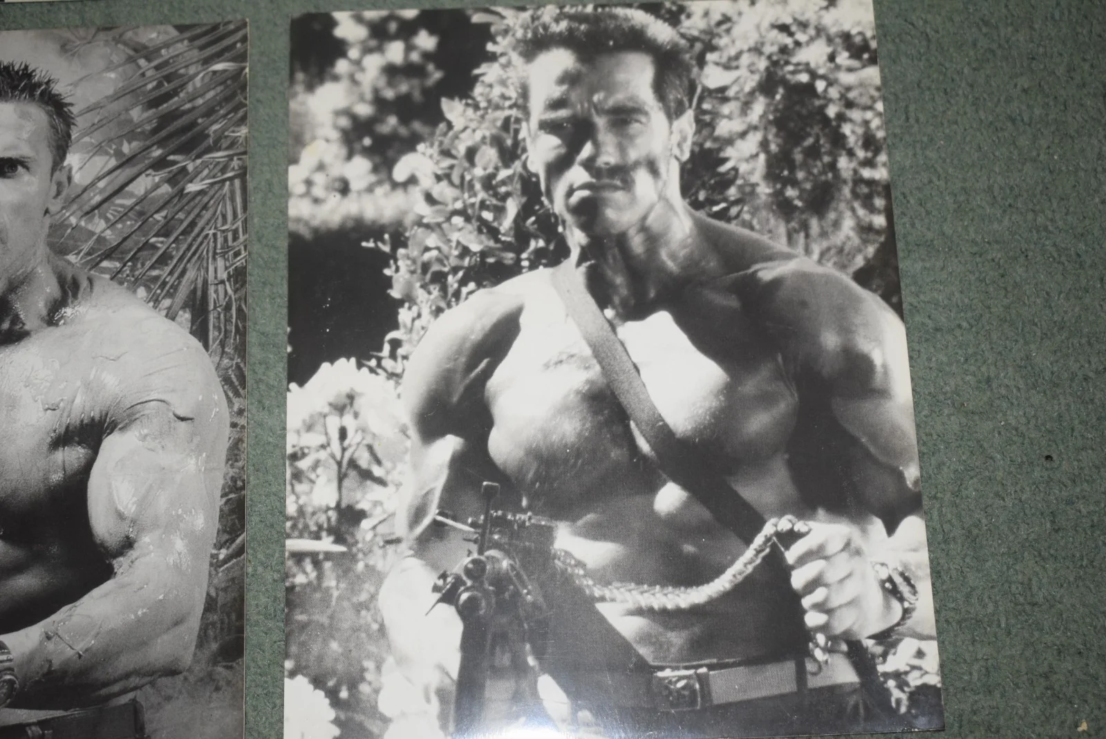 4 Arnold Schwarzenegger BW Photograph Arnold Schwarzenegger Predator Commando, image 4