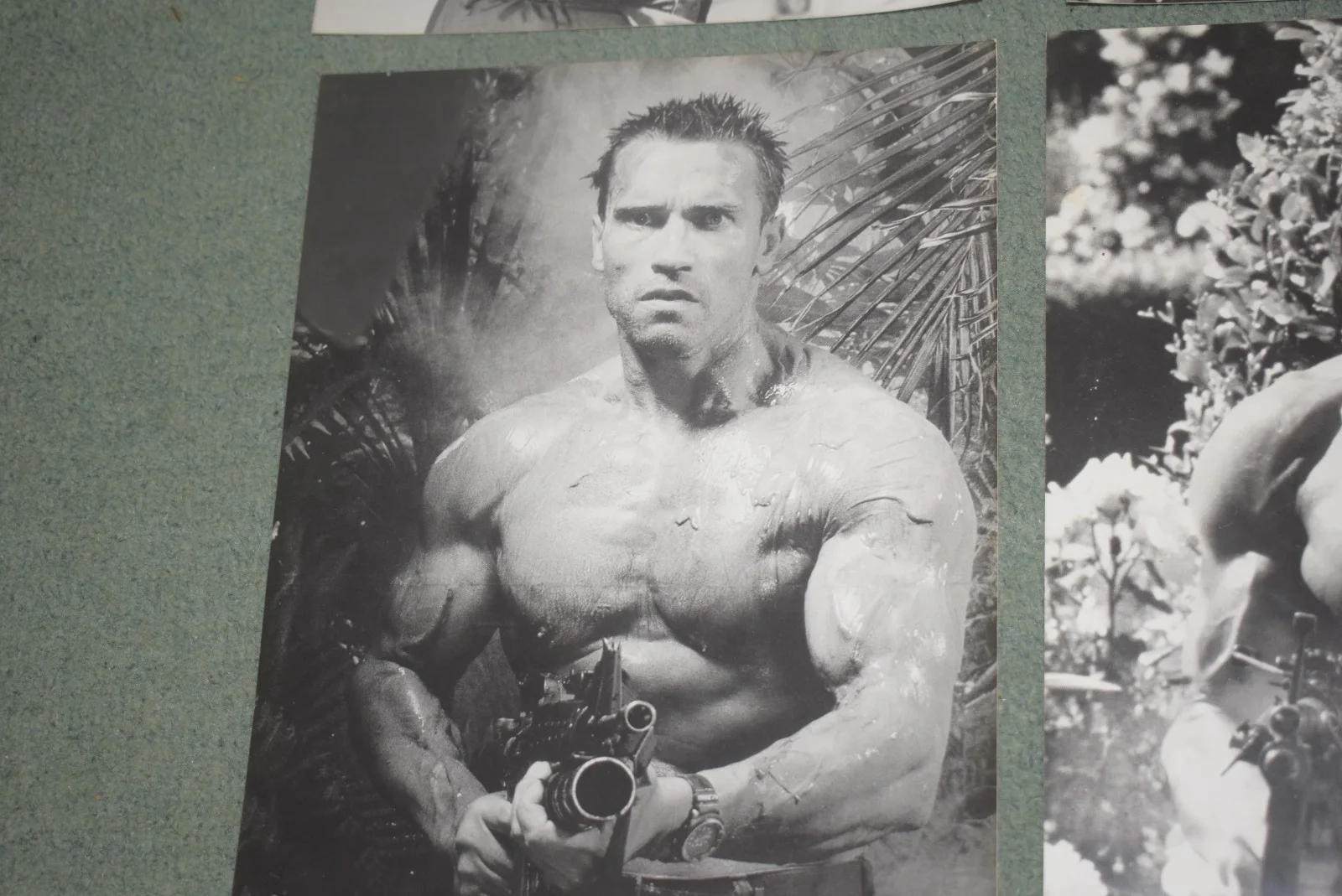 4 Arnold Schwarzenegger BW Photograph Arnold Schwarzenegger Predator Commando, image 5