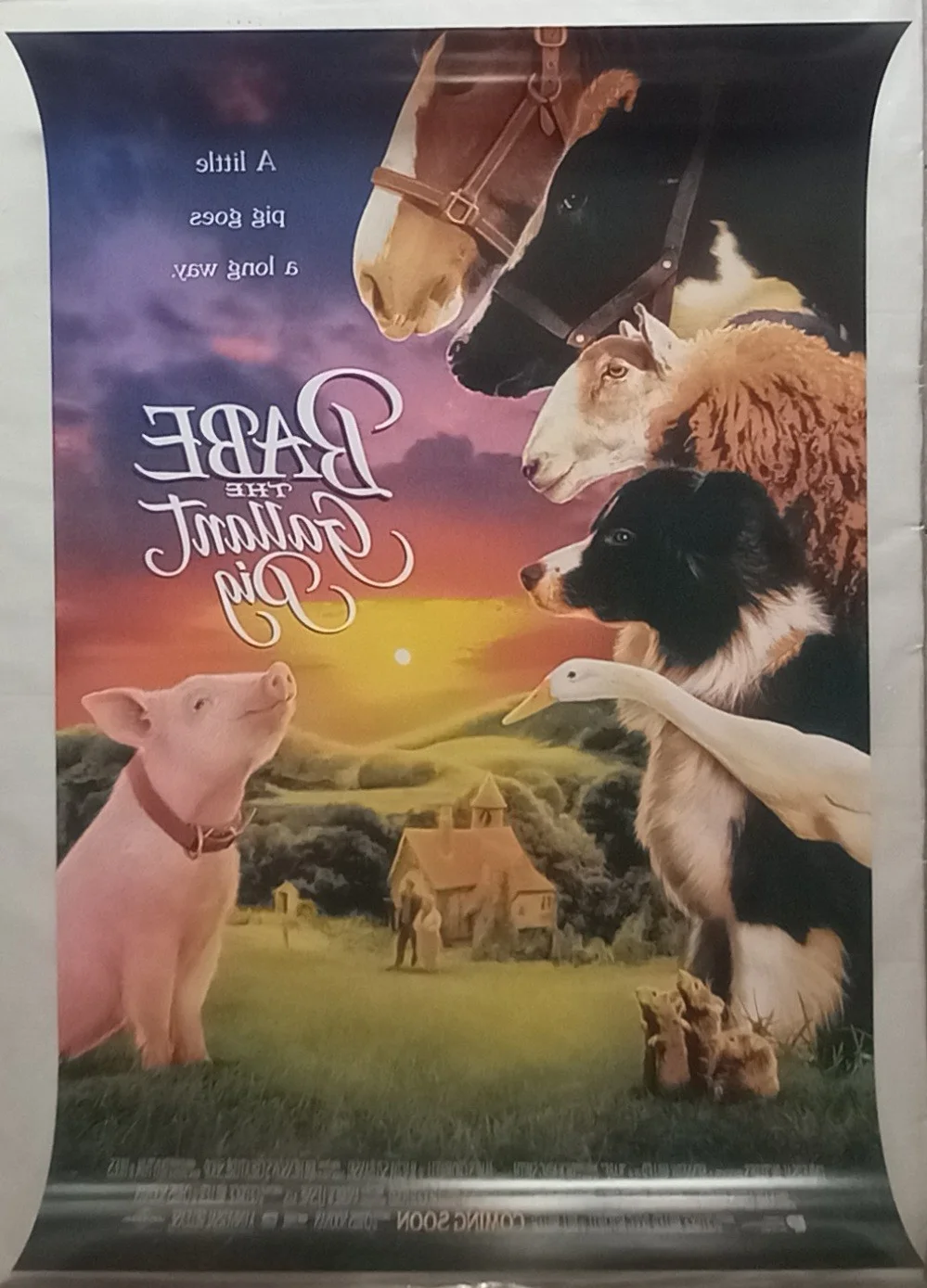 Babe (1995) Original D/S One-Sheet Poster, James Cromwell, Magda Szubanski, изображение 3