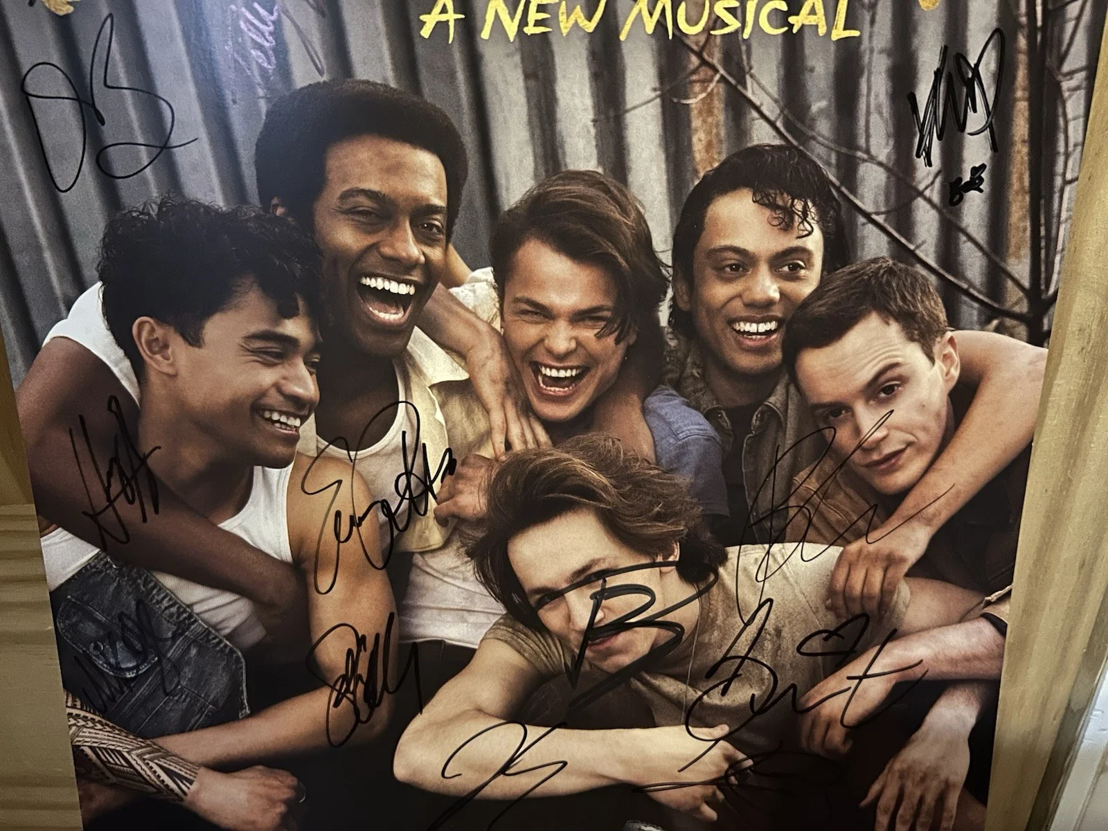 THE OUTSIDERS MUSICAL BRODY GRANT SIGNED X15 OBC POSTER WINDOW CARD, image 3