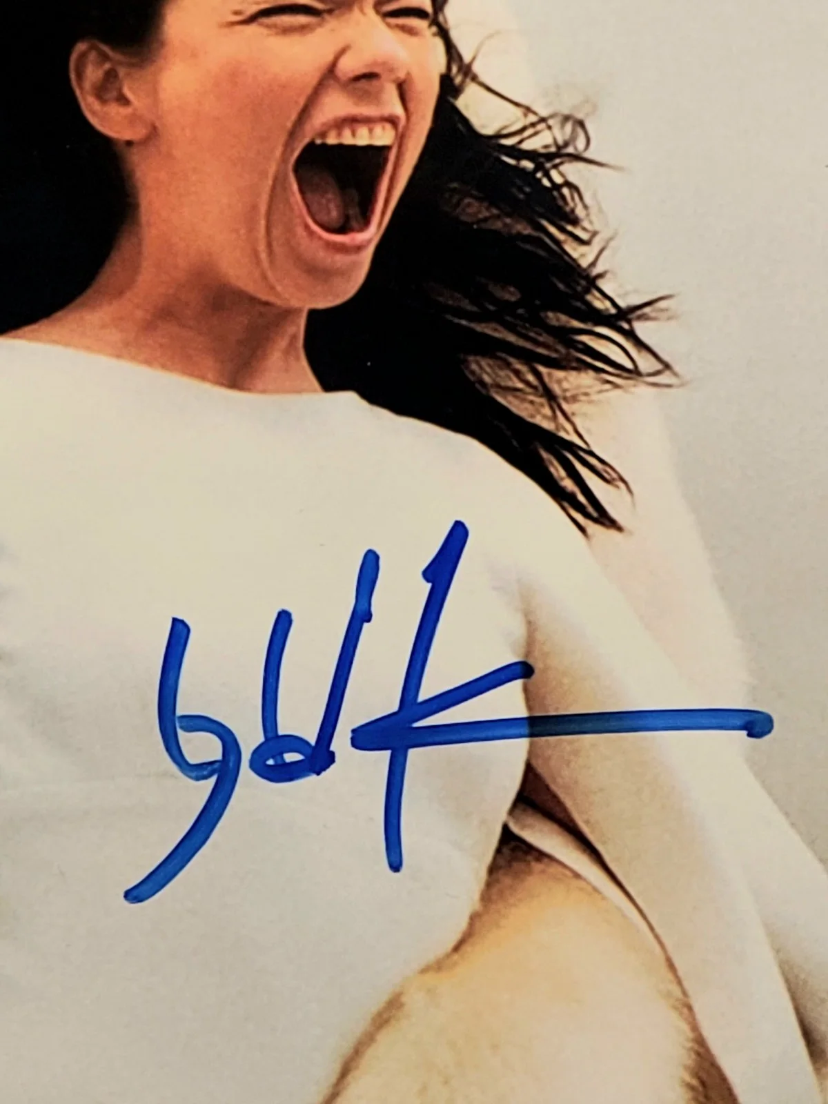 Bjork Music Artist Iceland Signed Autographed 8x10 Photo GA Global Authentics, изображение 2
