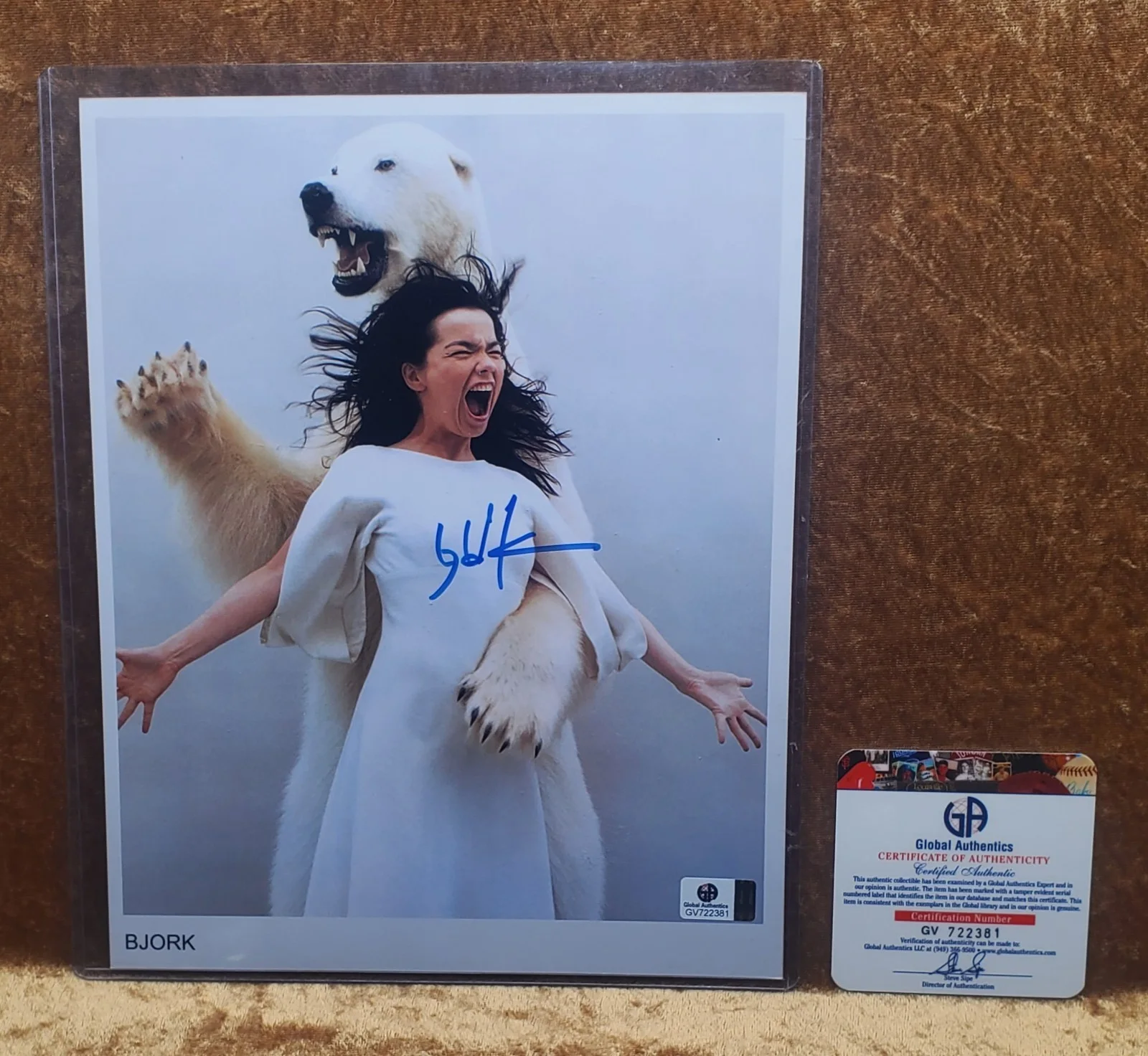 Bjork Music Artist Iceland Signed Autographed 8x10 Photo GA Global Authentics, изображение 4