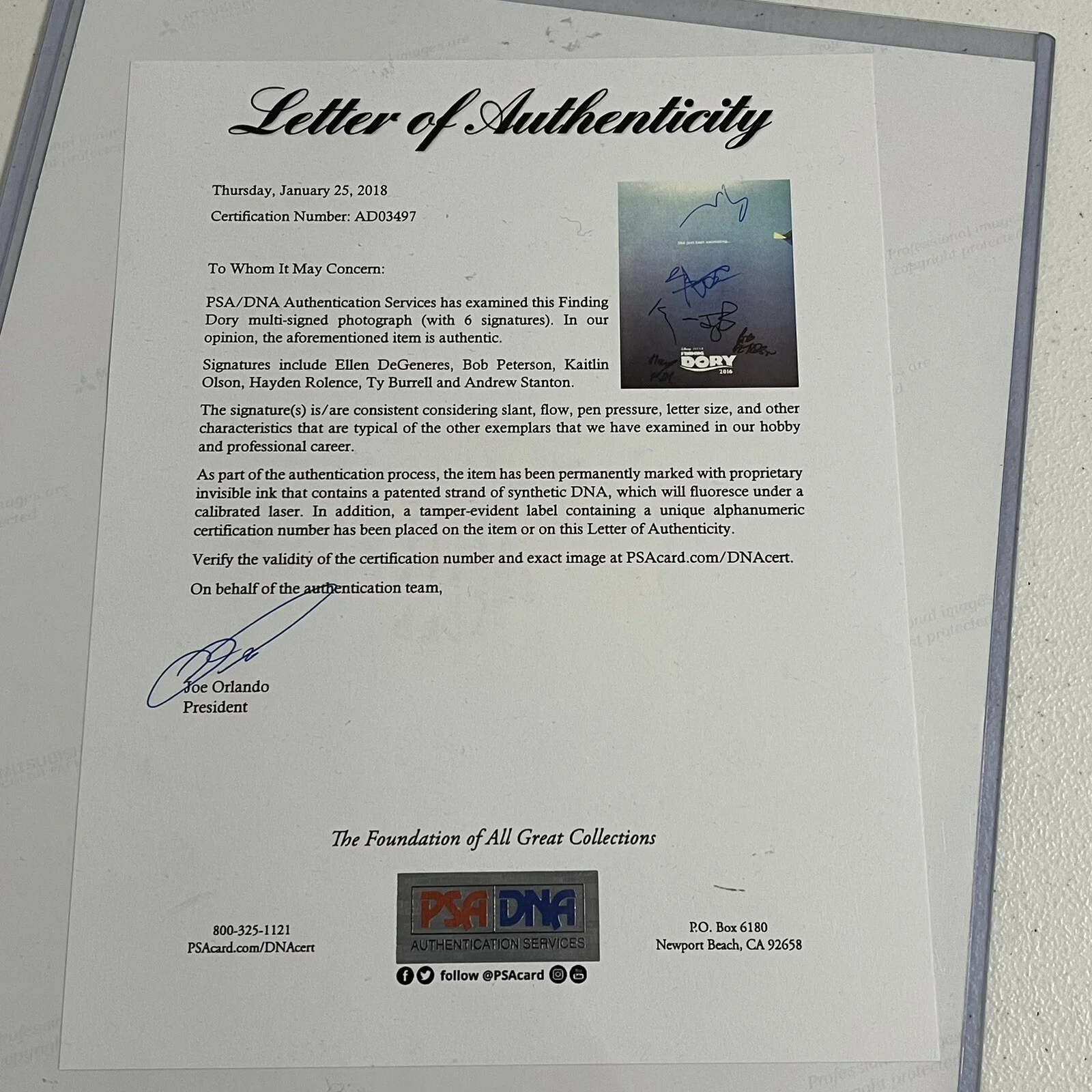 Ellen Degeneres — Ellen DeGeneres +5 Cast Signed Autographed 11x14 Photo FINDING DORY Nemo PSA DNA, image 2
