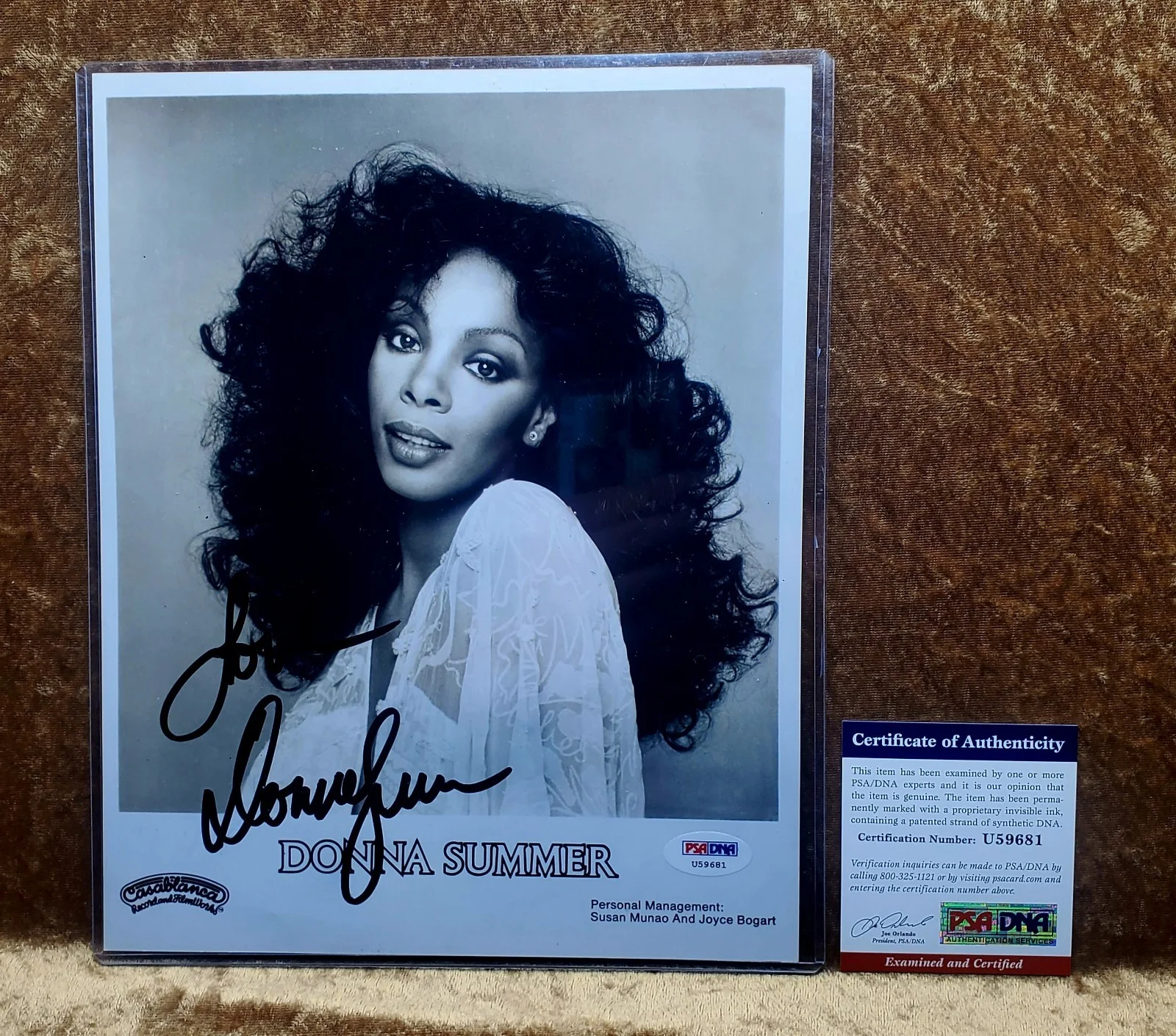 Donna Summer Signed Autographed Casablanca Promo 8 X 10 B&W Photo PSA / DNA, изображение 3