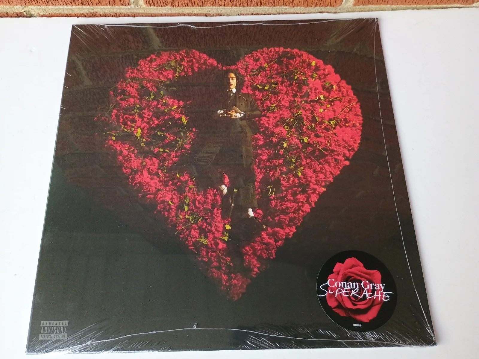 Conan Gray Autographed Vinyl LP Superache Red 12x12 Signed art card NEW SEALED, image 3