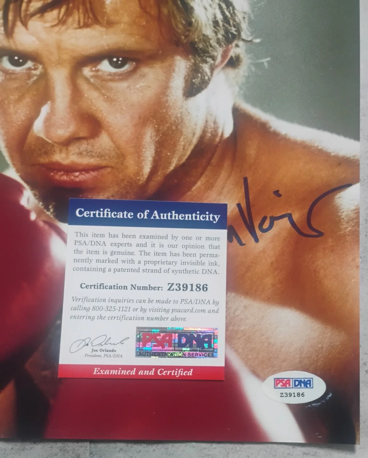 Jon Voight Hand Signed Autograph 8x10 Photo PSA COA The Champ NO US TARIFFS, image 4