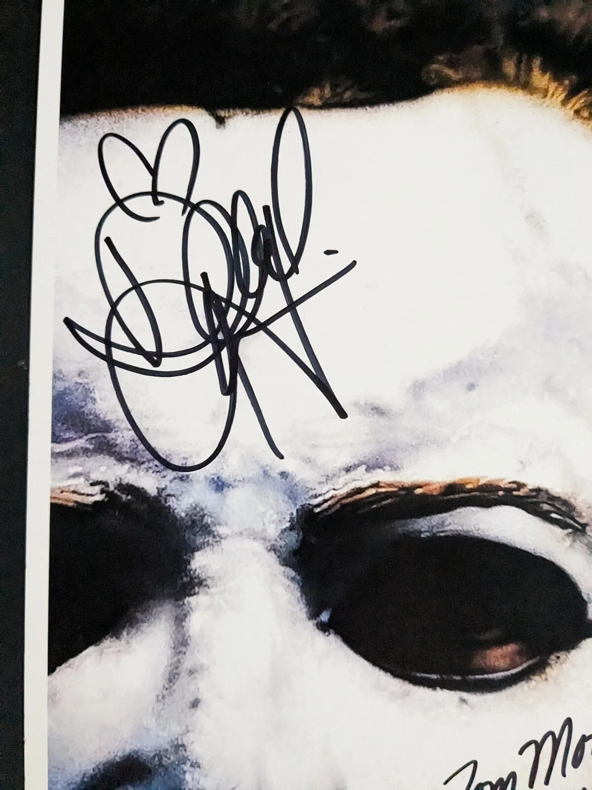 multi signed — Danielle HARRIS Tom MORGA 2x Signed Halloween 11x17 POSTER PHOTO JSA COA, изображение 2
