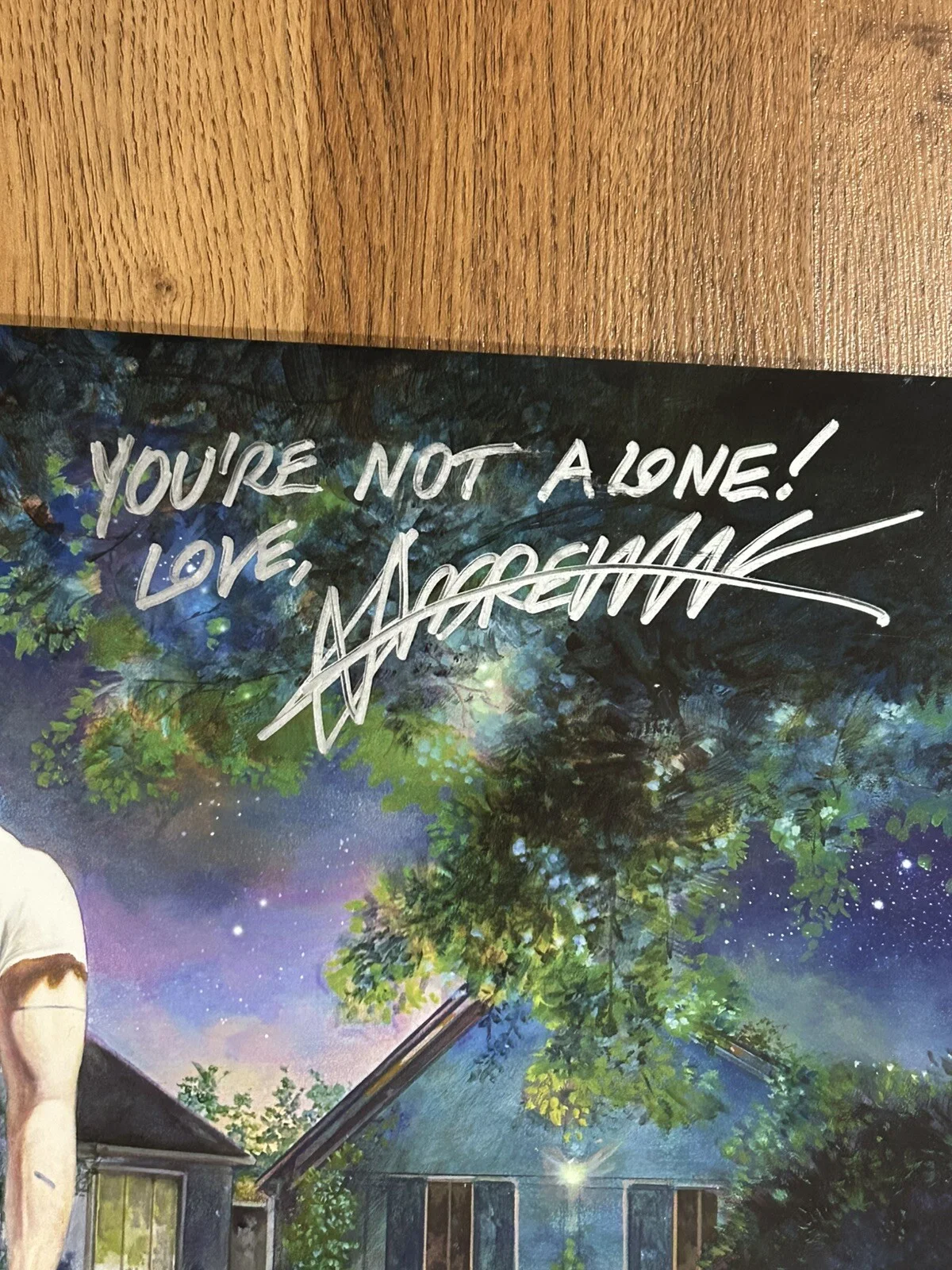 Signed Andrew WK You're Not Alone vinyl record autographed, изображение 2