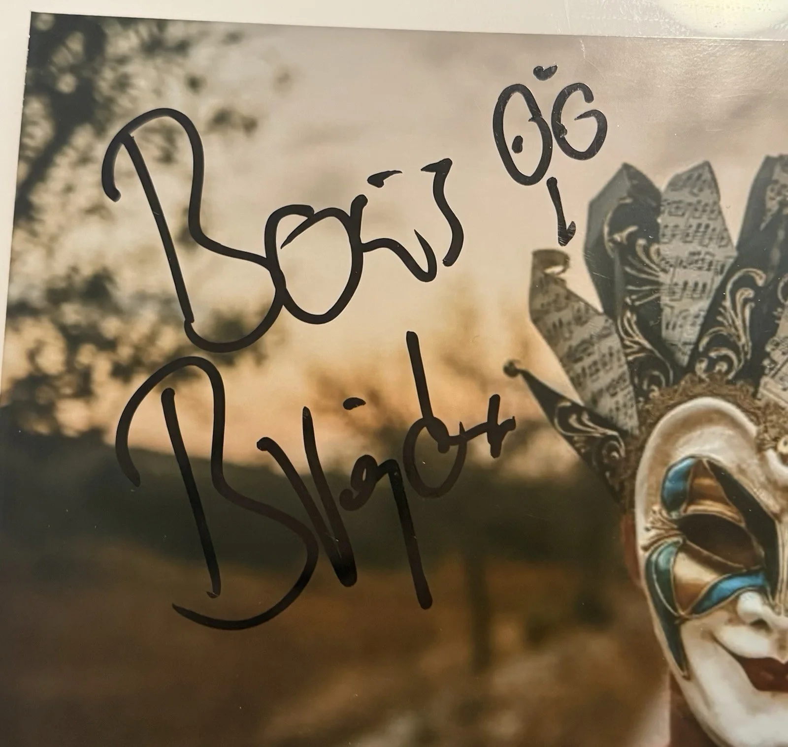 Boris Brejcha signed auto 8x10 Photo EDM DJ, image 2