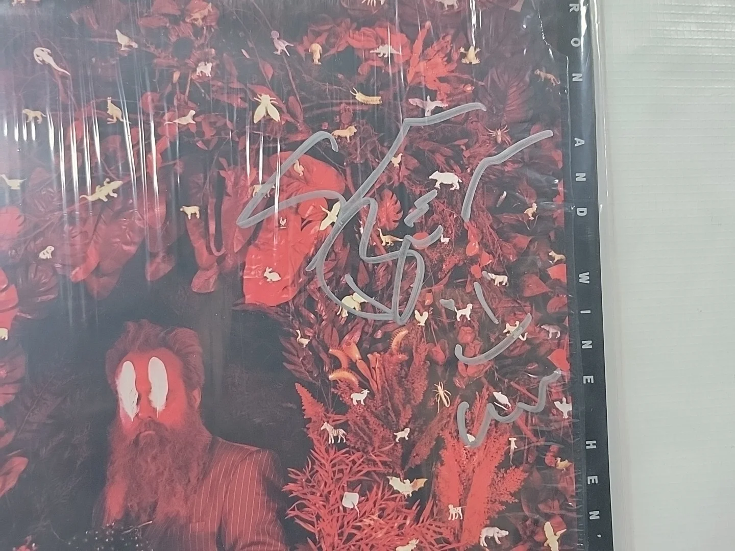✍️SIGNED Iron and Wine Hen’s Teeth AUTOGRAPHED Marble Vinyl LP 2026 Sam Beam 🆕, image 2