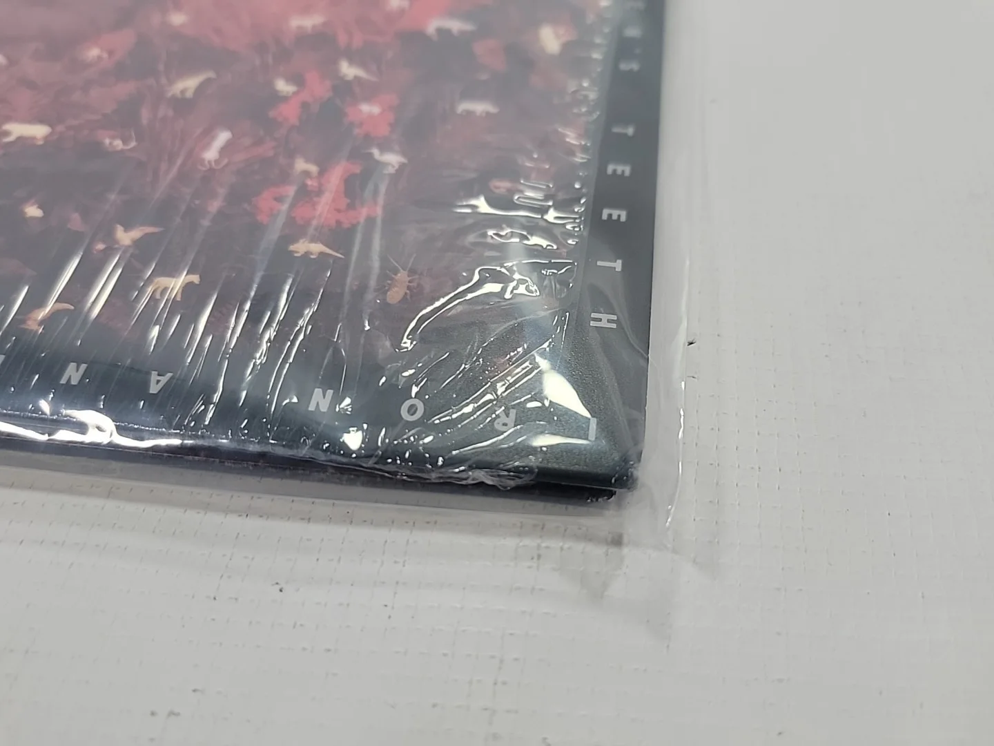 ✍️SIGNED Iron and Wine Hen’s Teeth AUTOGRAPHED Marble Vinyl LP 2026 Sam Beam 🆕, image 5