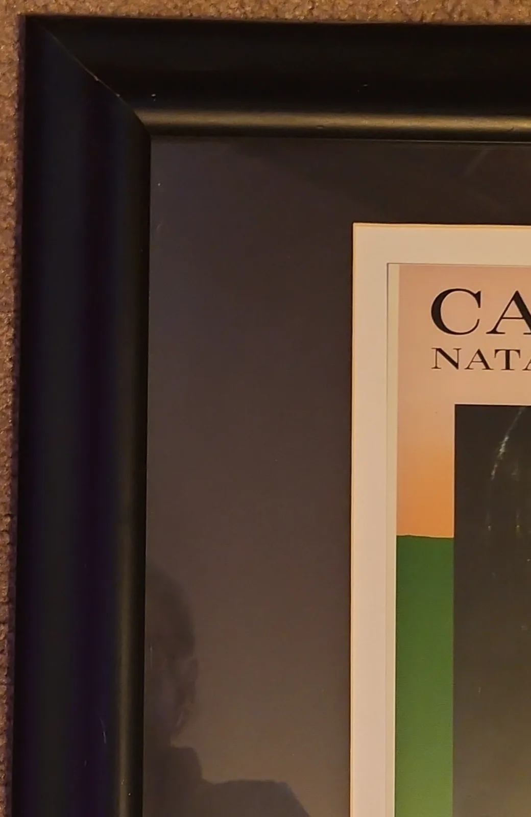 Natalie Merchant Signed Carnival CD Framed w/ Authentication, image 5