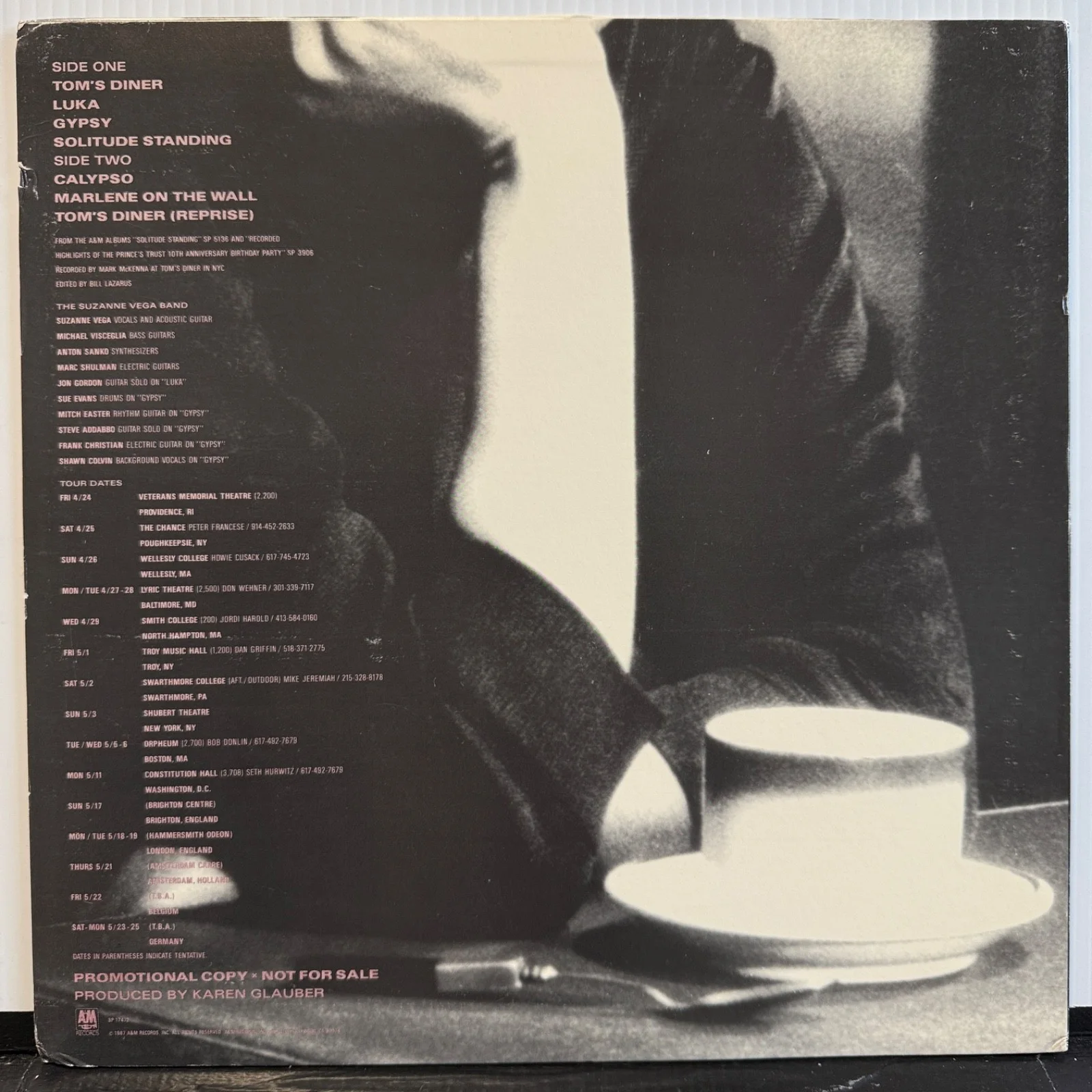 AUTOGRAPHED - SUZANNE VEGA "Portrait Of An Artist" PROMO ONLY VINYL translucent, изображение 3