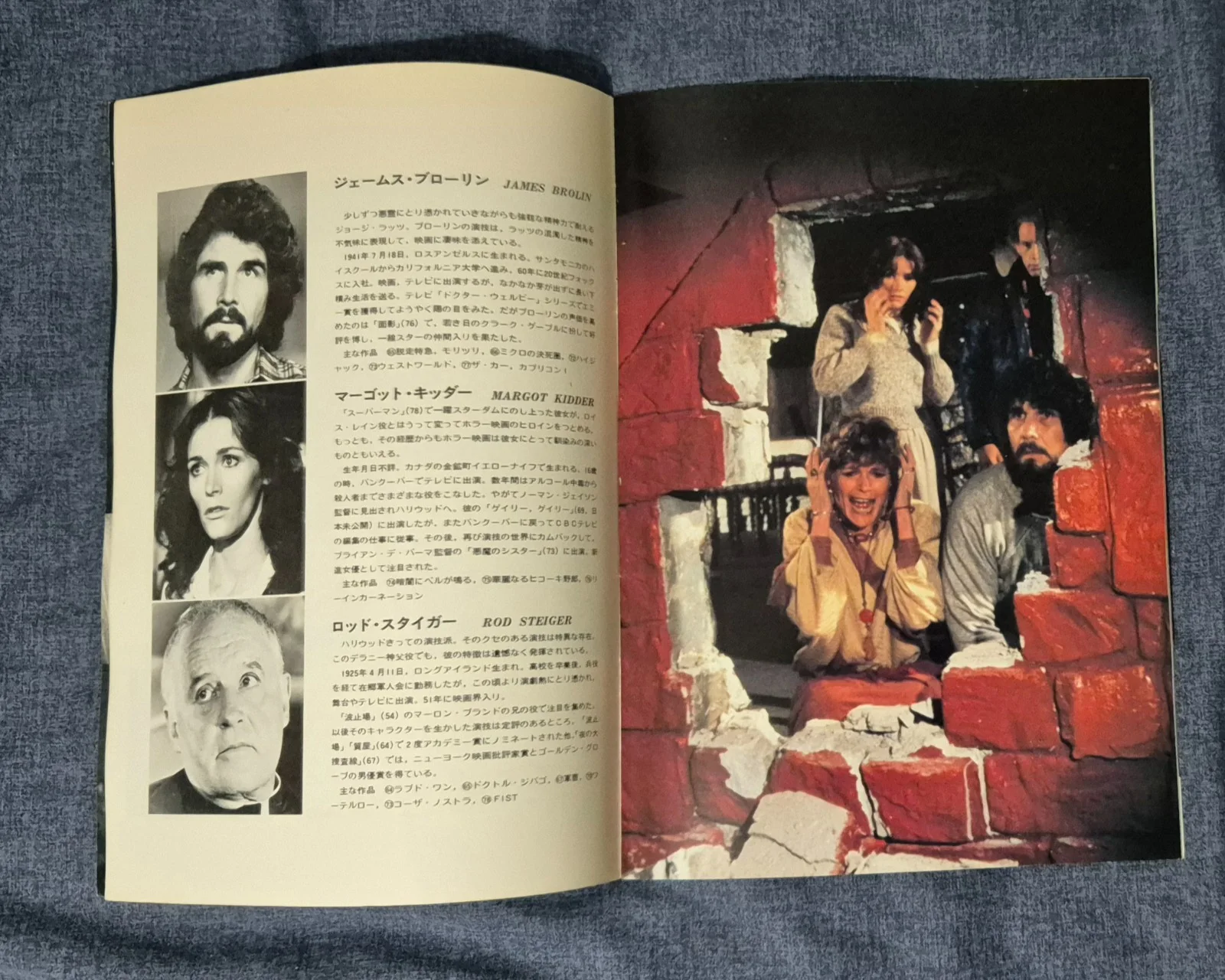 The Amityville Horror - Japanese Movie Programme / Brochure - 1979, image 2