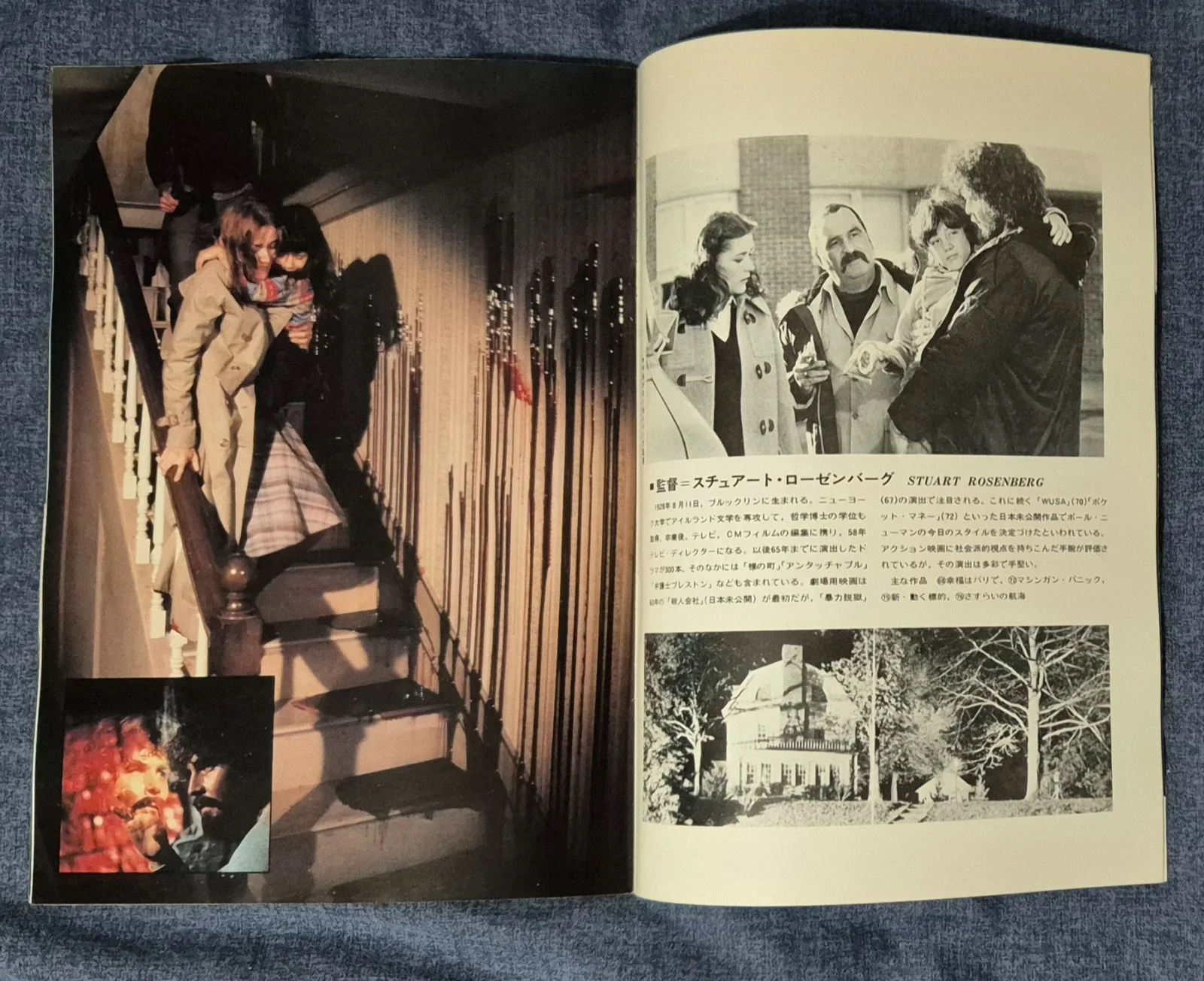 The Amityville Horror - Japanese Movie Programme / Brochure - 1979, image 3