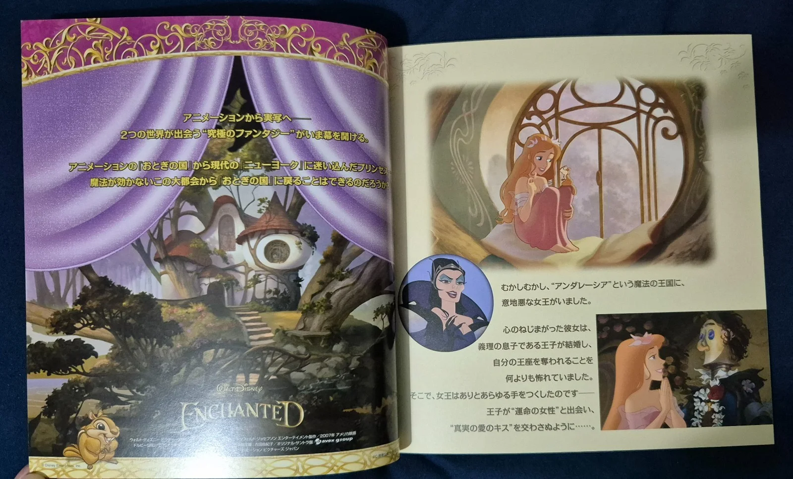 Disney - Enchanted - Amy Adams & Idina Menzel - Japanese Movie Brochure - 2007, изображение 2