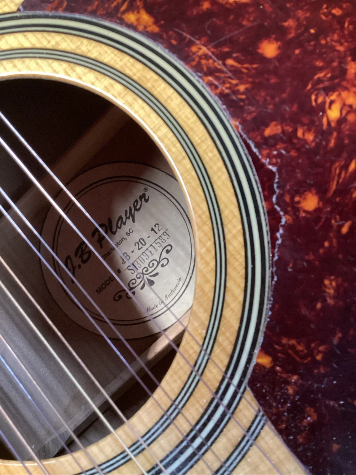 JBP 12 String Acoustic Guitar JB-20-12 With Hard Case, image 3