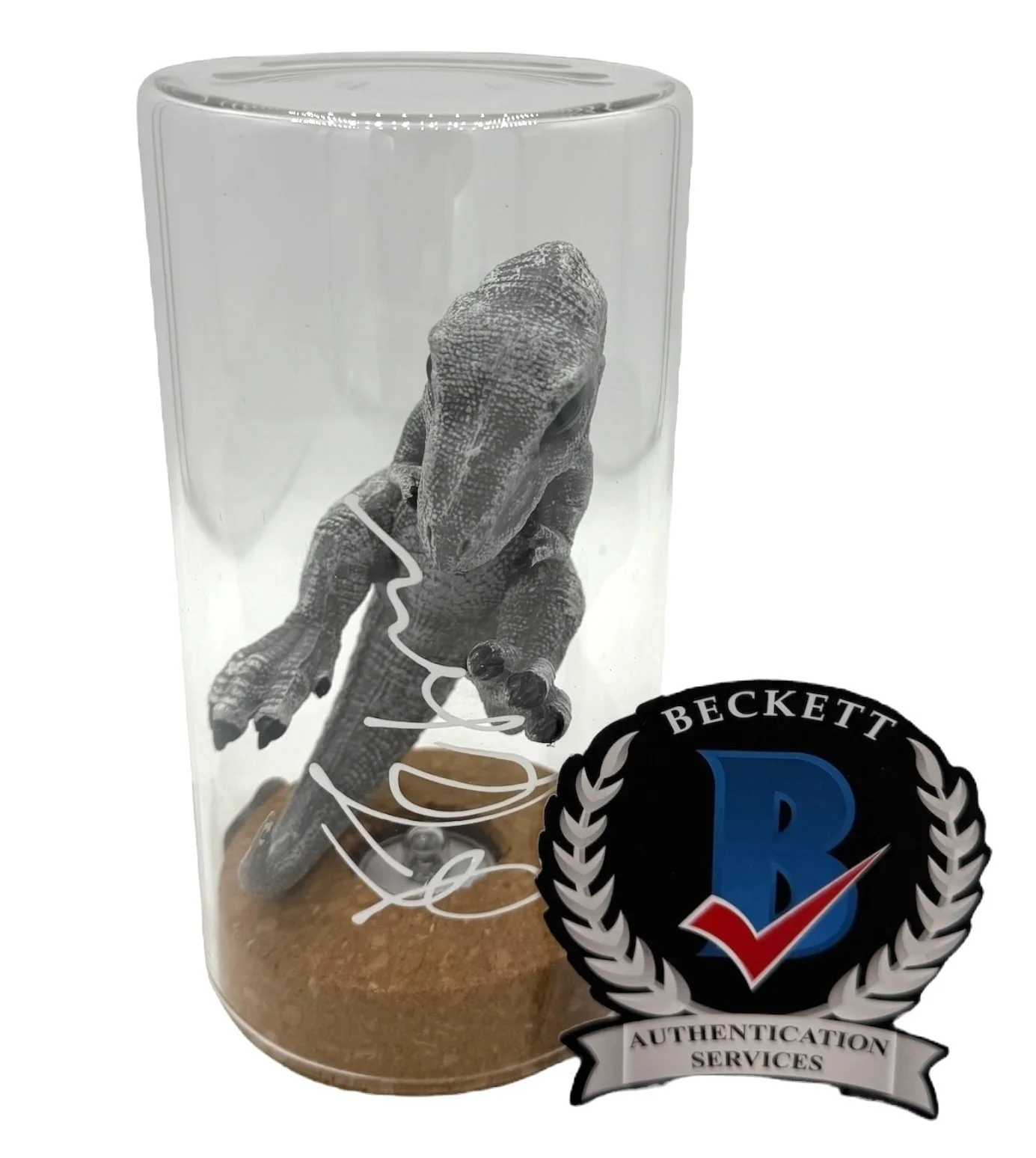 Jeff Goldblum — Jeff Goldblum Signed Autograph Jurassic Park Velocitaptor In Glass Prop Beckett, изображение 2