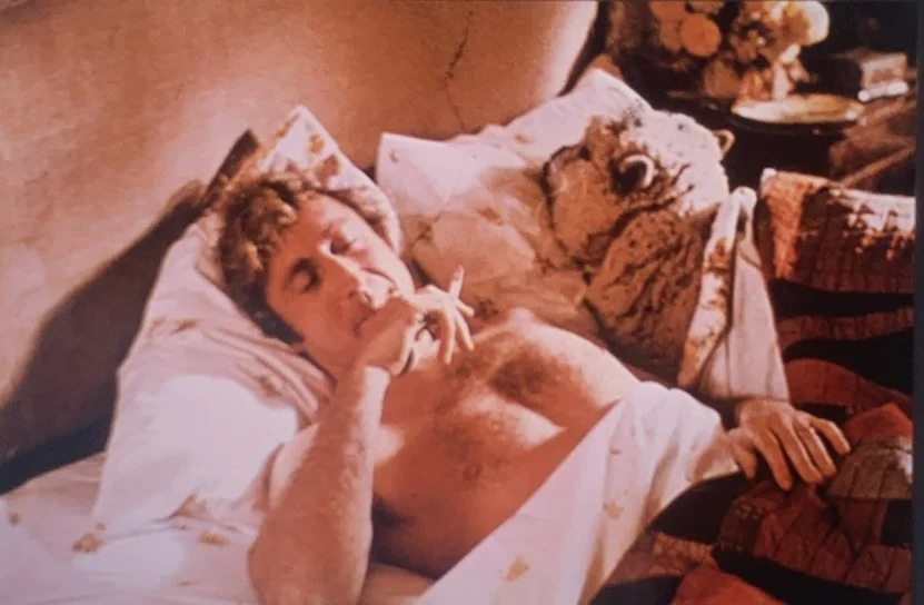 EVERYTHING YOU WANTED TO KNOW ABOUT SEX BUT WERE AFRAID TO ASK 35mm Slides x5, изображение 2