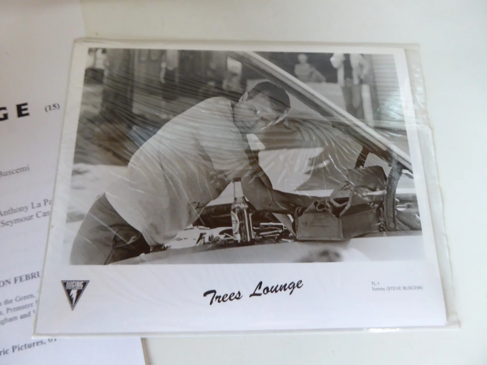 Trees Lounge Electric Pictures Press Kit 4 Photos - Steve Buscemi Chloe Sevigny, изображение 2