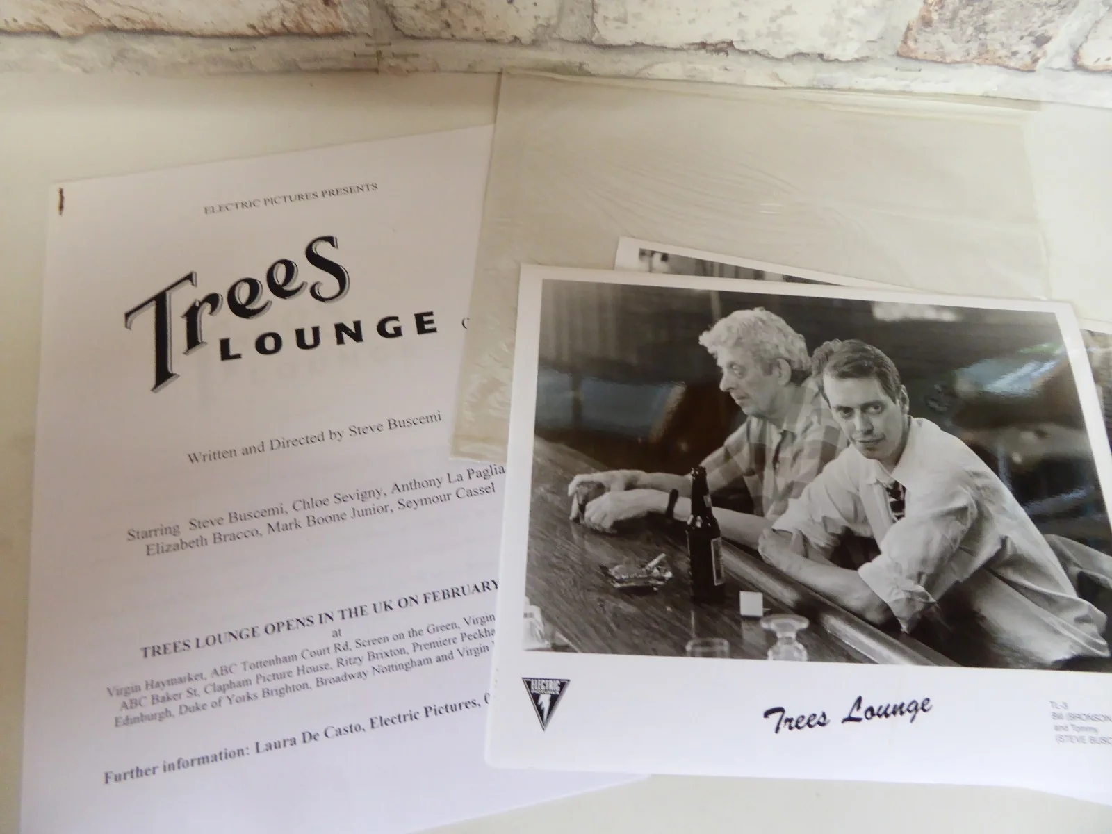 Trees Lounge Electric Pictures Press Kit 4 Photos - Steve Buscemi Chloe Sevigny, изображение 3