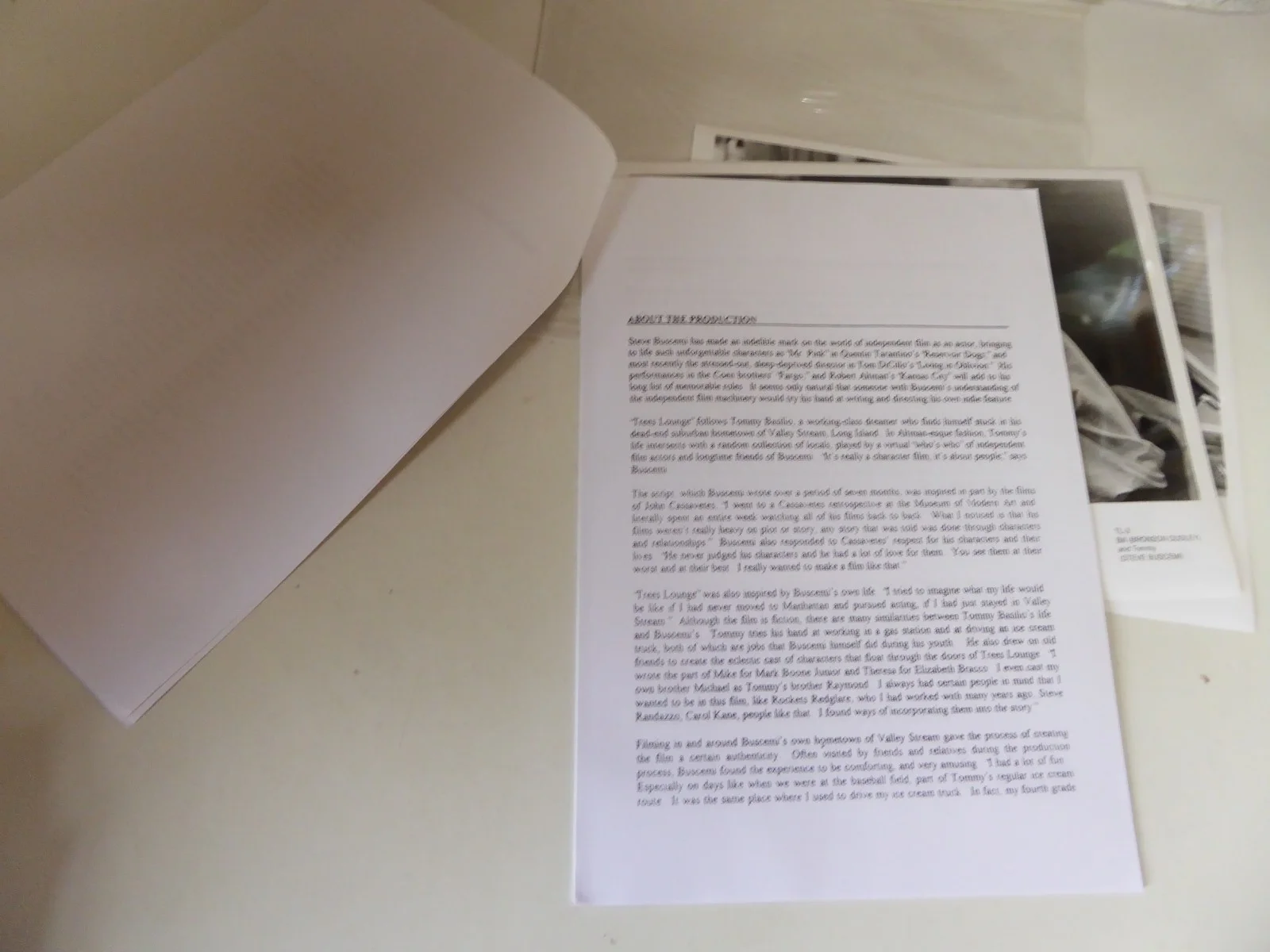 Trees Lounge Electric Pictures Press Kit 4 Photos - Steve Buscemi Chloe Sevigny, изображение 5