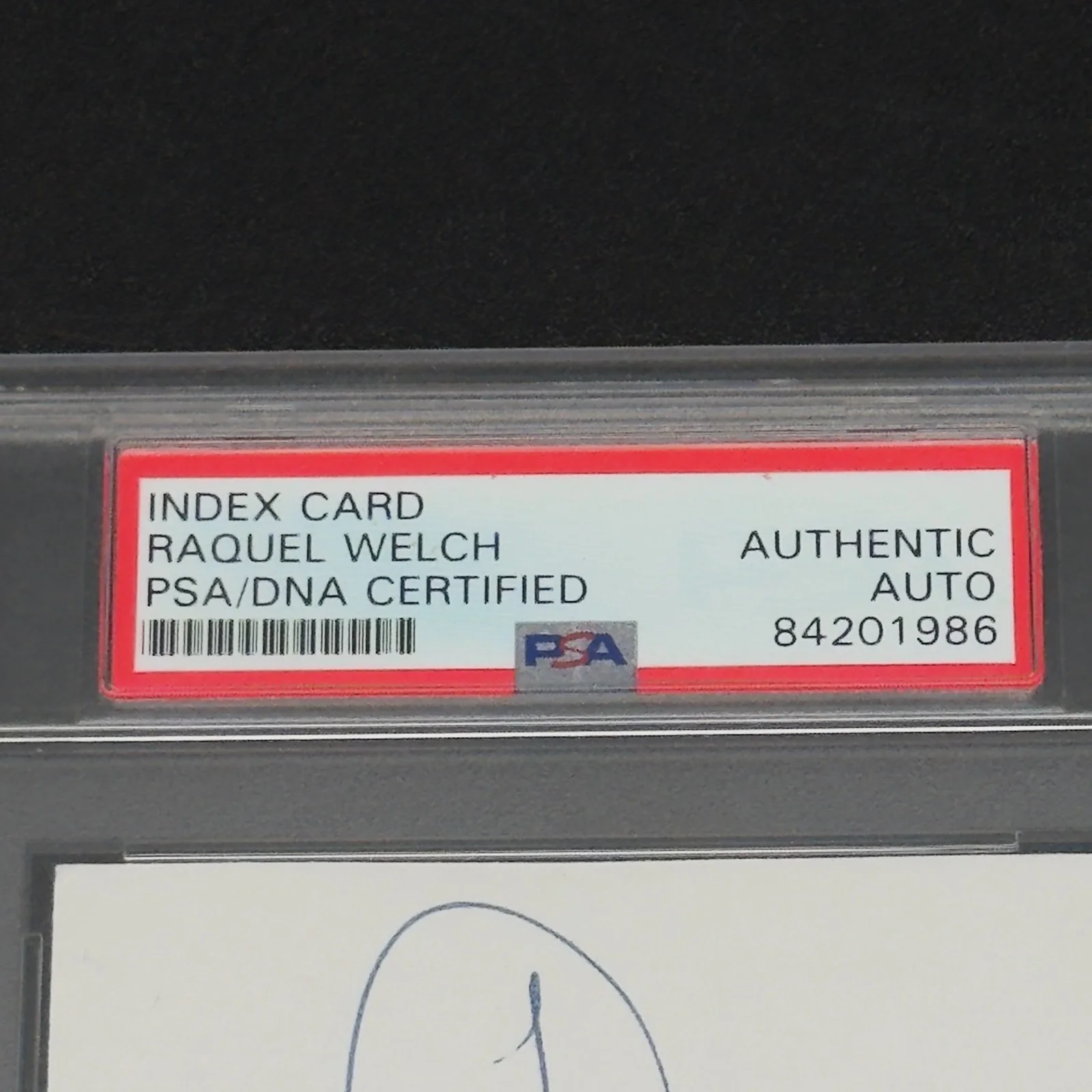 Raquel Welch — Raquel Welch Signed Index Card Actress Slabbed PSA/DNA Authentic Autograph, image 2