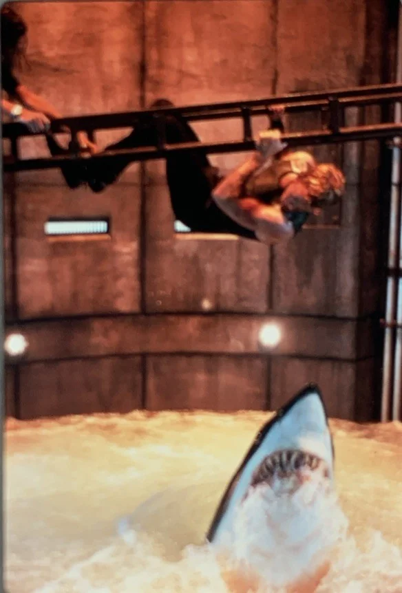 DEEP BLUE SEA Samuel L. Jackson Saffron Burrows 1999 35mm Slides x4, image 3