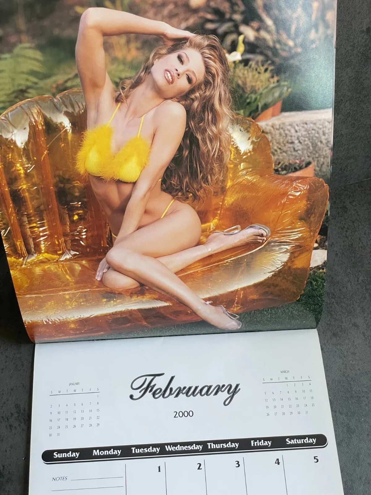 Amber Smith — RARE Amber Smith Sexy Supermodel Signed 2000 Calendar 14x11 RML Calendars No COA, image 5