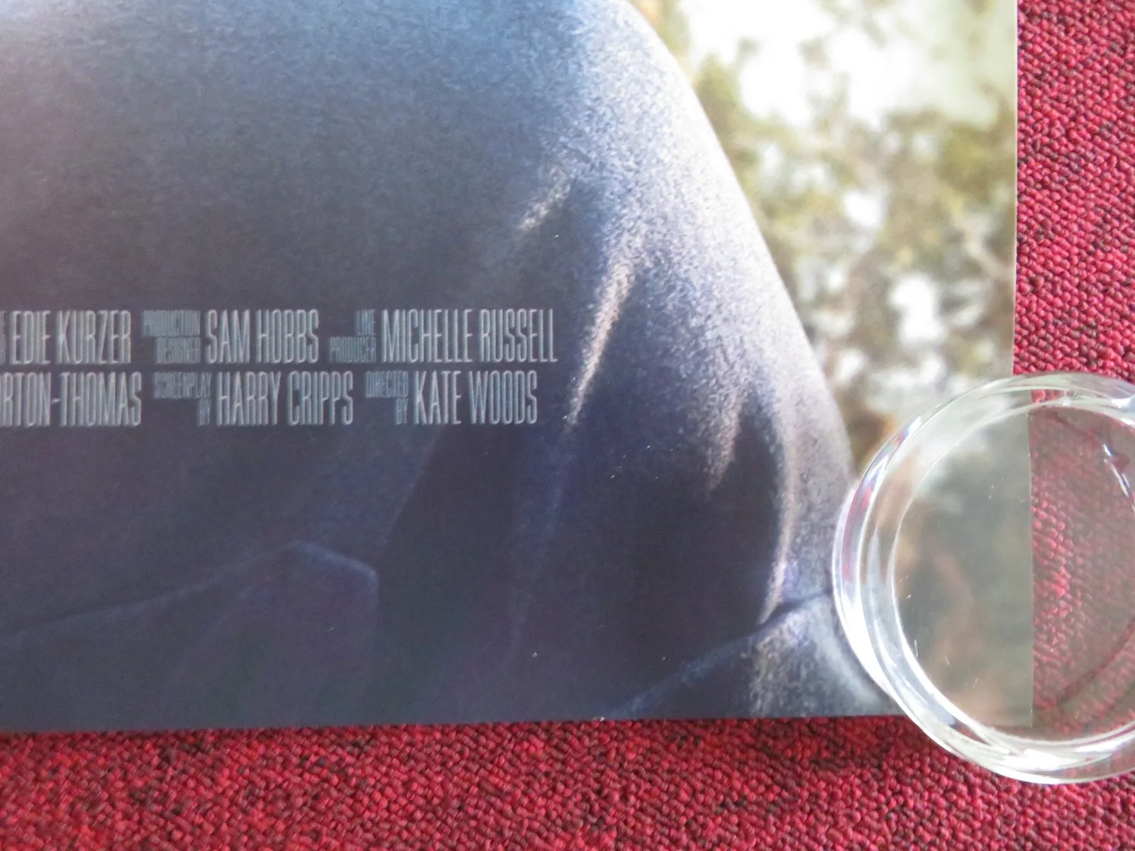 KANGAROO UK QUAD ROLLED POSTER LILY WHITELEY DEBORAH MAILMAN 2025, изображение 5