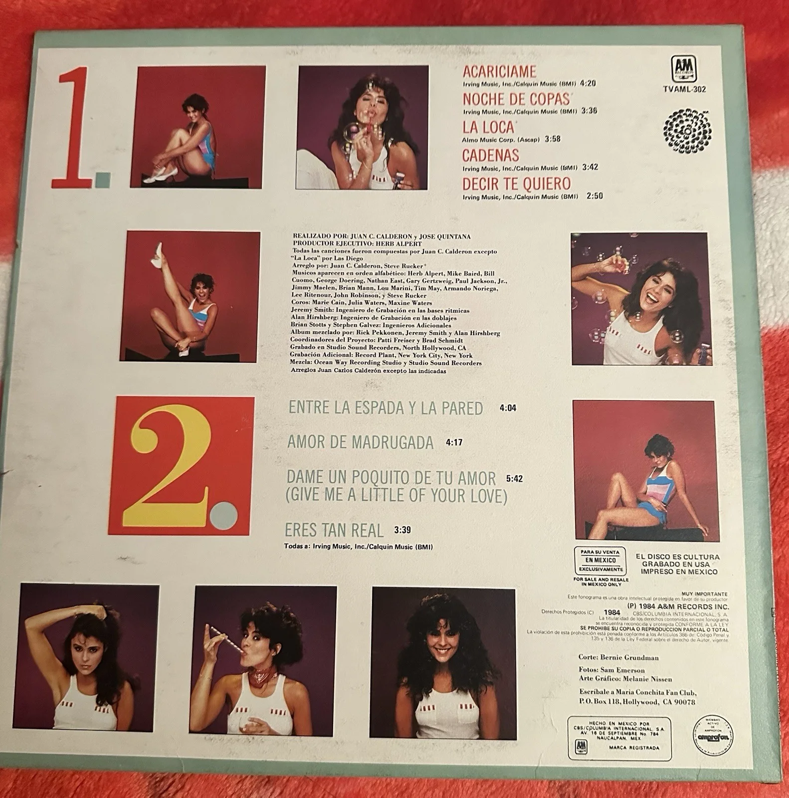 María Conchita Alonso Signed Autographed Vinyl Album, изображение 3