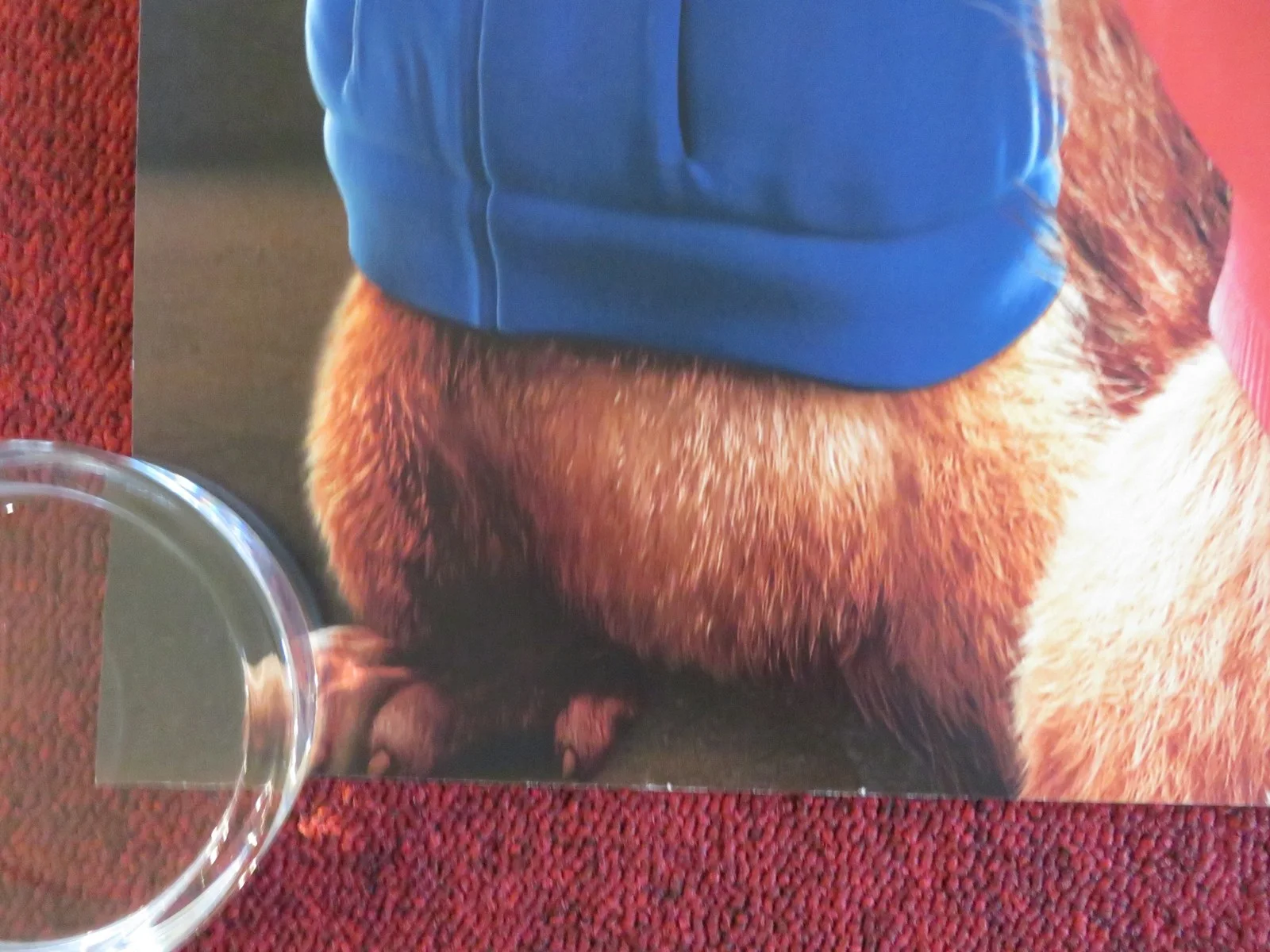 ALVIN AND THE CHIPMUNKS: THE SQUEAKQUEL - B UK QUAD ROLLED POSTER JASON LEE 2009, изображение 4