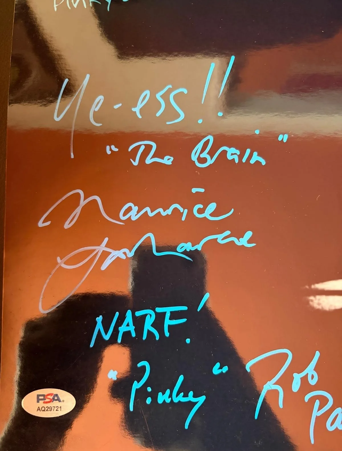 MAURICE LAMARCHE, ROB PAULSEN, KEITH TUCKER — PINKY IN THE BRAIN CAST SIGNED 11X14 PHOTO MAURICE LAMARCHE PAULSEN TUCKER PSA, изображение 3