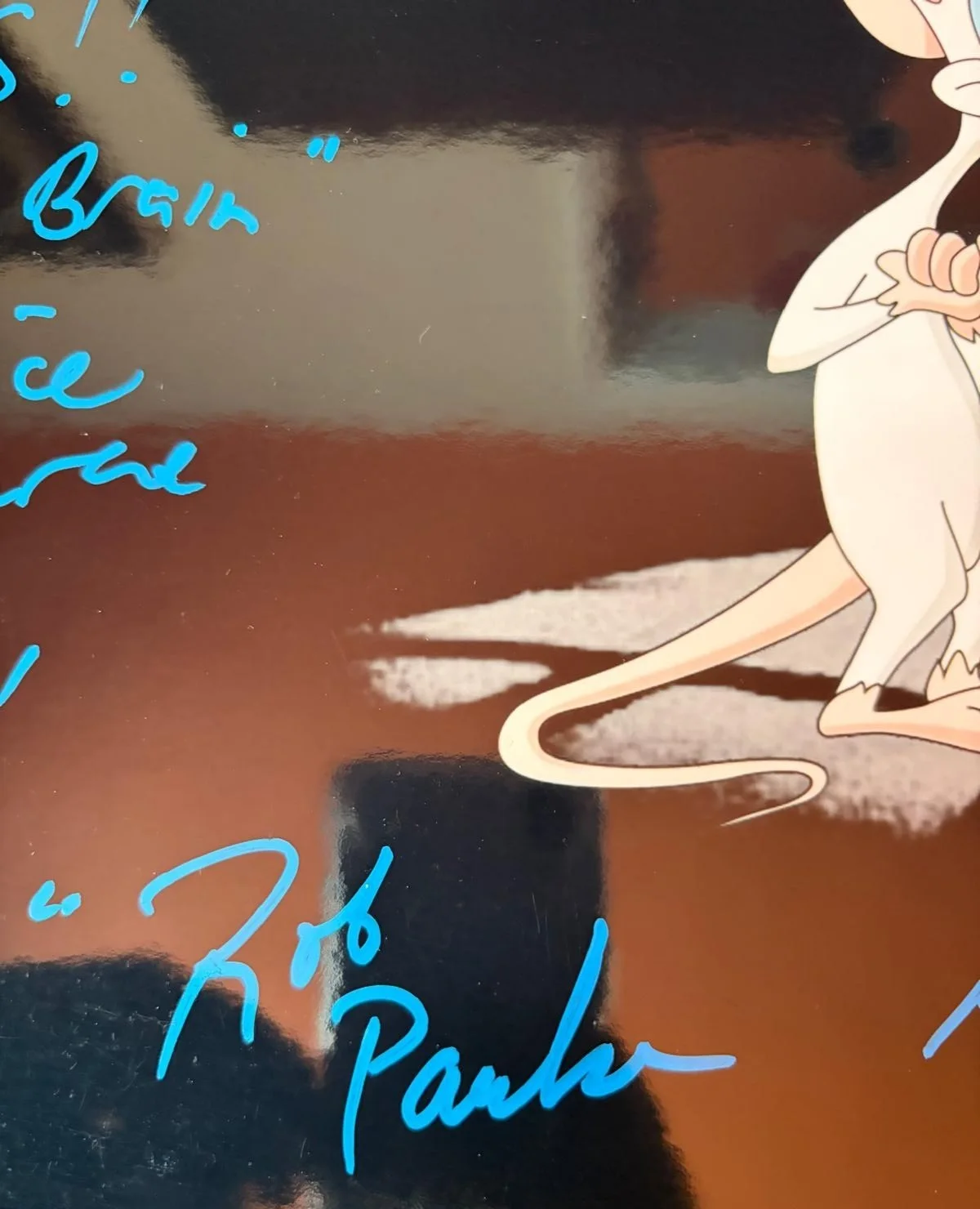 MAURICE LAMARCHE, ROB PAULSEN, KEITH TUCKER — PINKY IN THE BRAIN CAST SIGNED 11X14 PHOTO MAURICE LAMARCHE PAULSEN TUCKER PSA, изображение 4