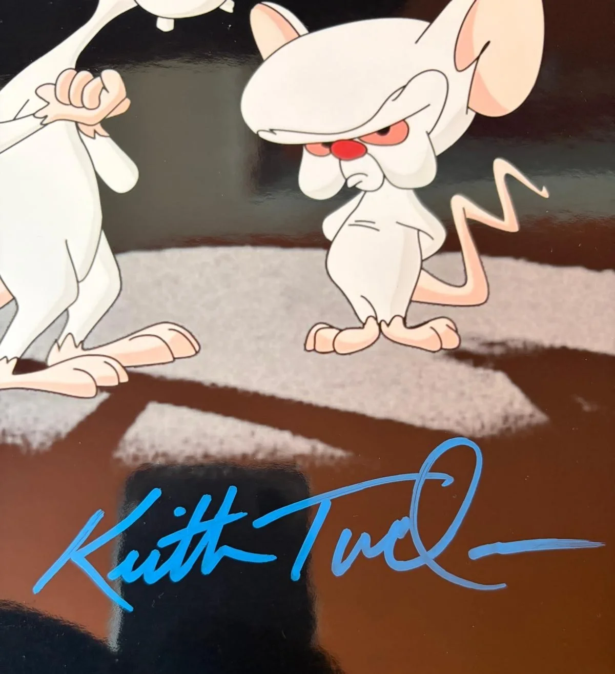 MAURICE LAMARCHE, ROB PAULSEN, KEITH TUCKER — PINKY IN THE BRAIN CAST SIGNED 11X14 PHOTO MAURICE LAMARCHE PAULSEN TUCKER PSA, изображение 5