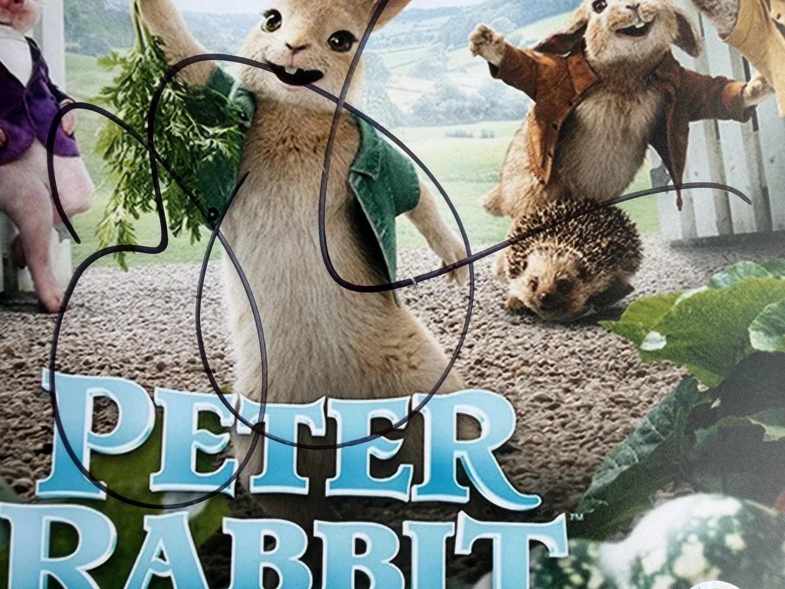 James Corden “Peter Rabbit” Signed Framed 16” X 12” Print Display, image 5