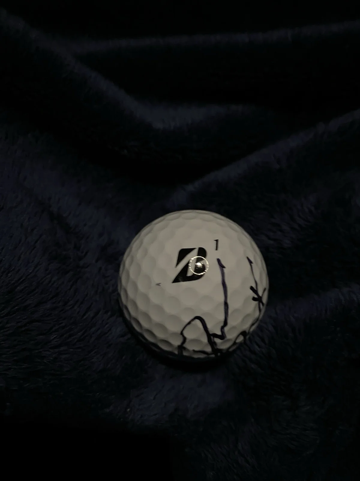 Darius Rucker Country Music Star Signed Golf Ball Hootie And The Blowfish, изображение 2