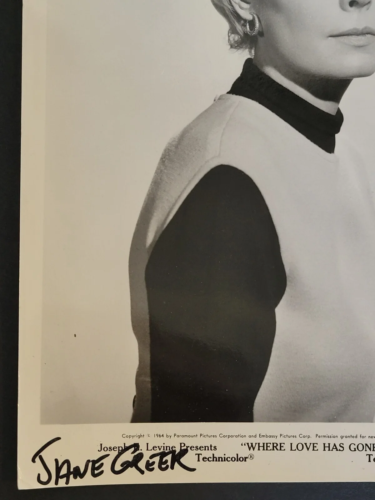 Jane Greer — Jane Greer Press Photo VTG 1963 Paramount Where Love Has Gone Print Name NO COA, изображение 3