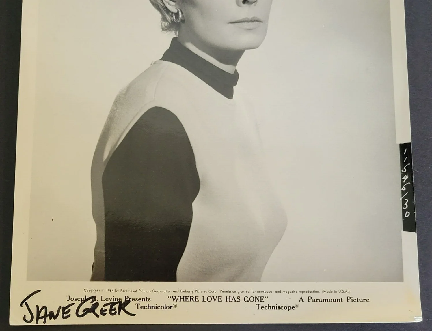 Jane Greer — Jane Greer Press Photo VTG 1963 Paramount Where Love Has Gone Print Name NO COA, изображение 4