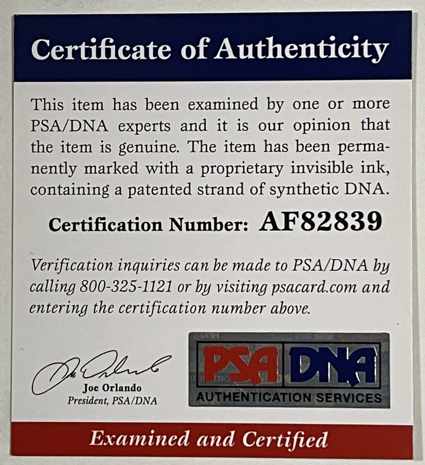Anthony, Joe Russo — Anthony & Joe Russo Signed Directors Clapboard Infinity War Marvel PSA/DNA COA, image 3