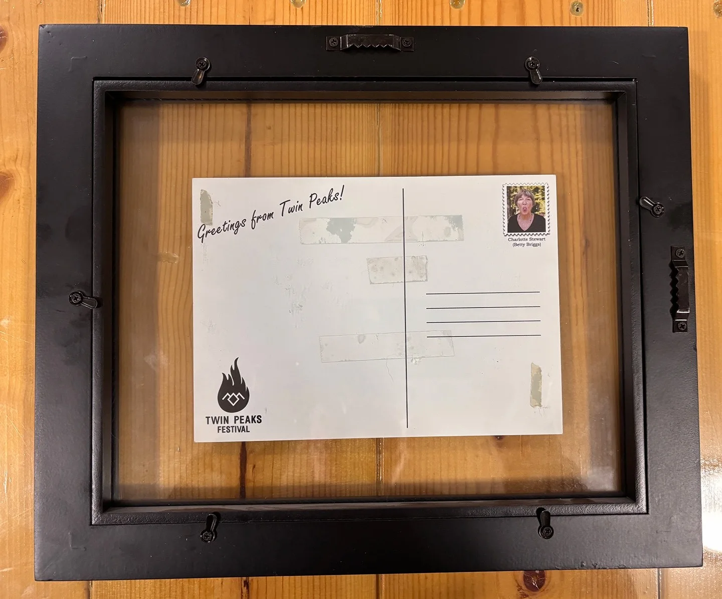 CHARLOTTE STEWART — CHARLOTTE STEWART Signed autograph. Twin Peaks, Tremors. Framed, изображение 4