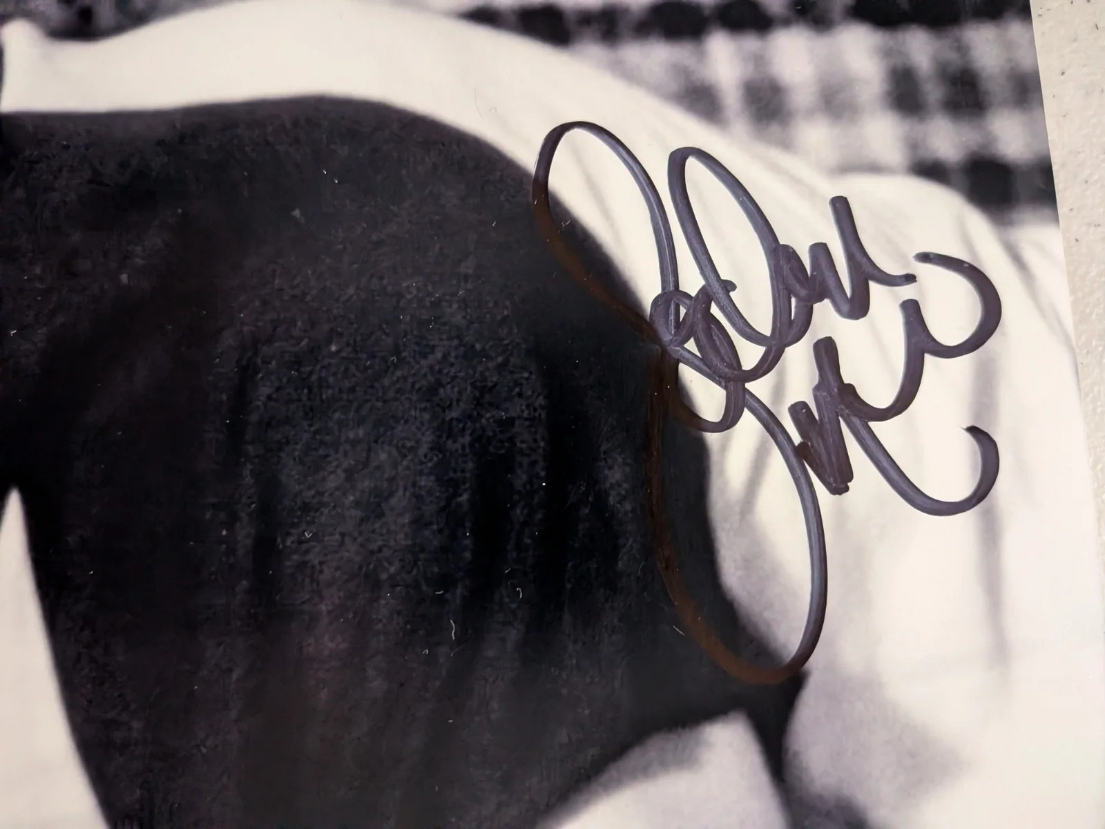 LOCHLYN MUNRO Signed 8x10 PHOTO Dead Man on Campus Cliff Autograph JSA COA, image 2