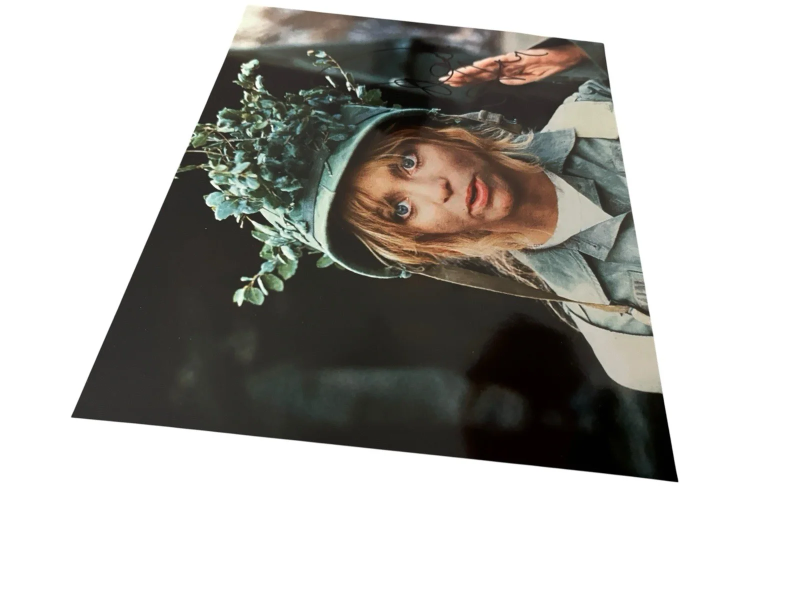 GOLDIE HAWN SIGNED AUTOGRAPH PRIVATE BENJAMIN ACTRESS 8x10 PHOTO B, изображение 2