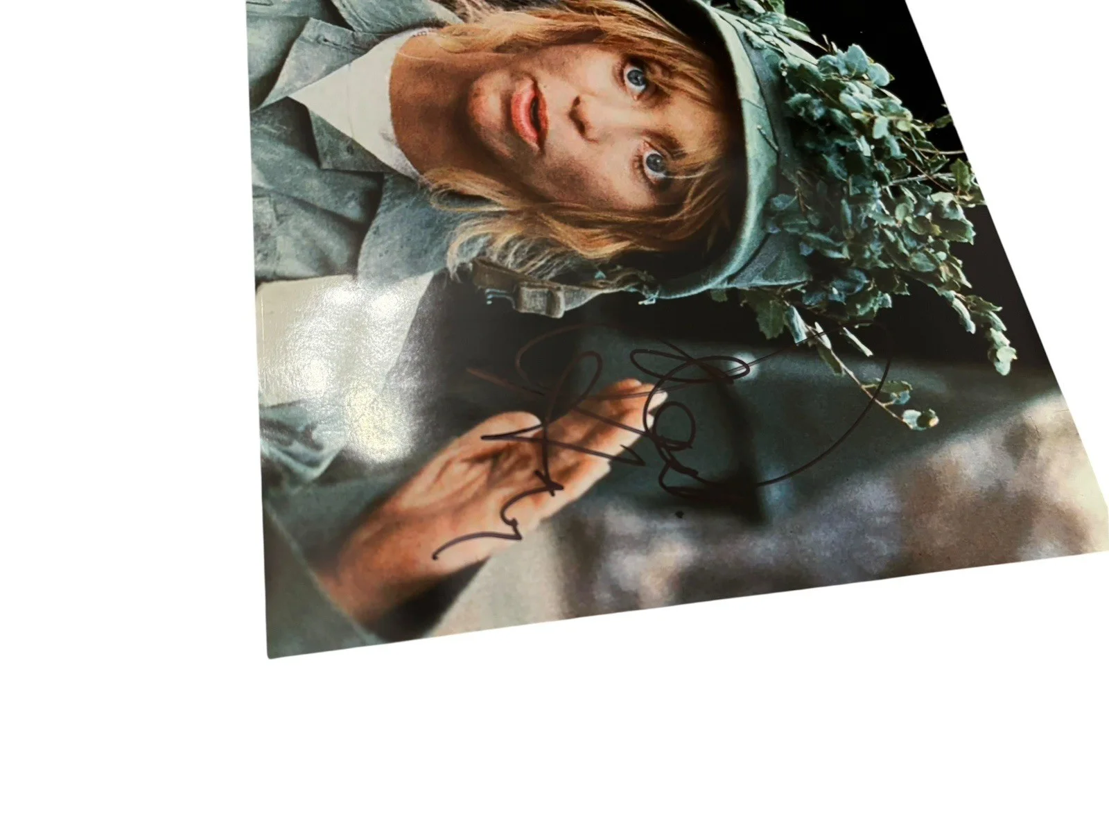 GOLDIE HAWN SIGNED AUTOGRAPH PRIVATE BENJAMIN ACTRESS 8x10 PHOTO B, изображение 3