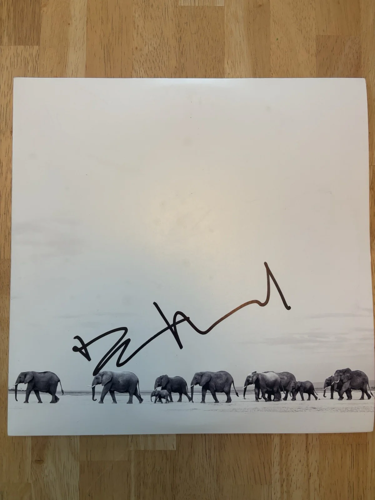 Dave Matthews Signed Where Are You Going The Singles Vinyl Record Album DMB JSA, изображение 2