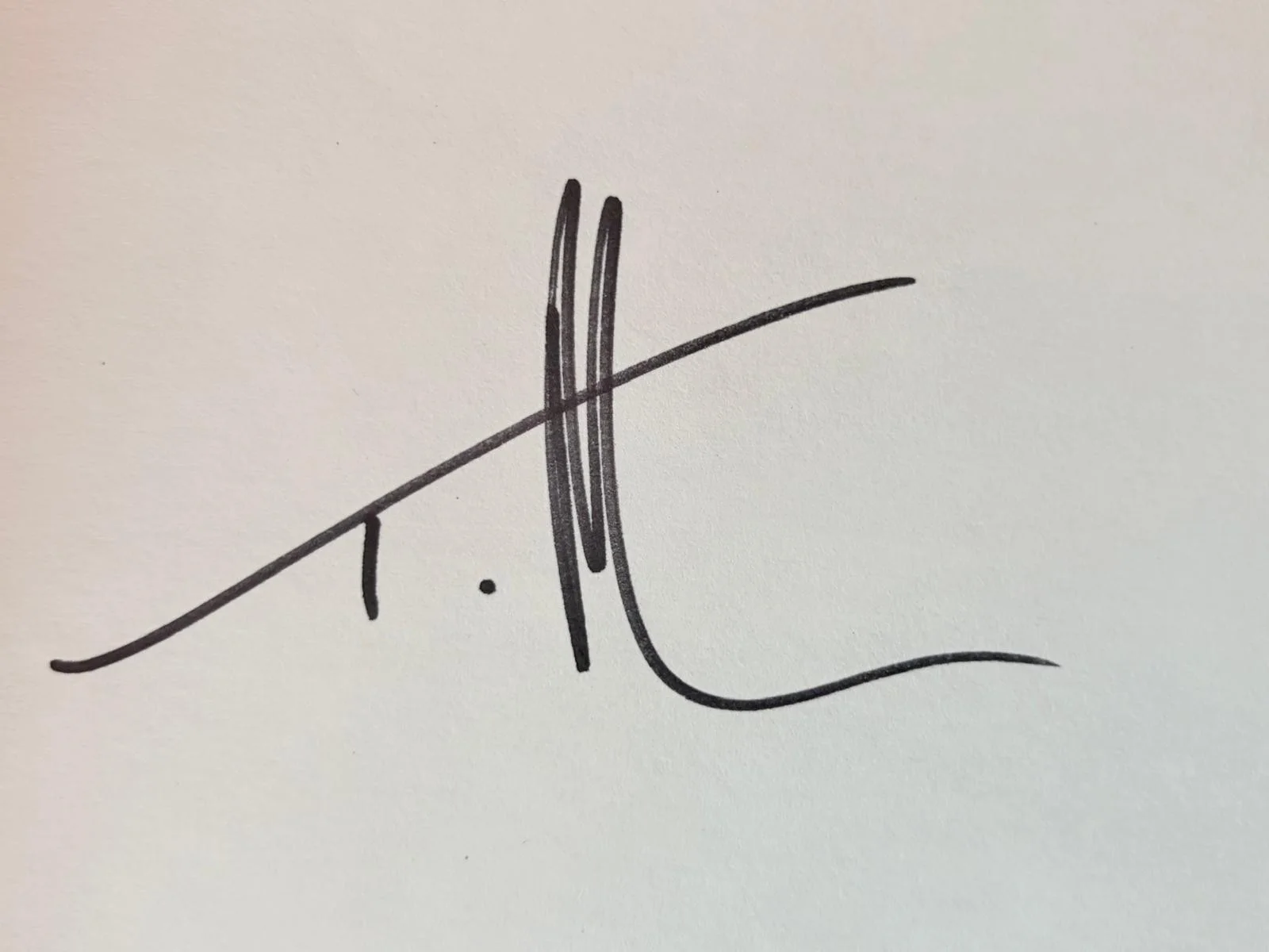Tim McGraw — TIM MCGRAW SIGNED AUTOGRAPHED INDEX CARD LIVE LIKE YOU WERE DYING PSA FAITH HILL, изображение 2
